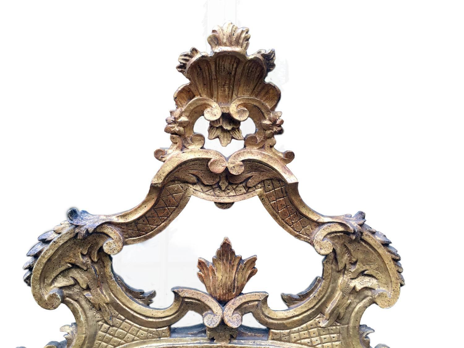 18th Century Italian Louis XV Gilded Mirror Carved Tuscan Mirror from Lucca 6