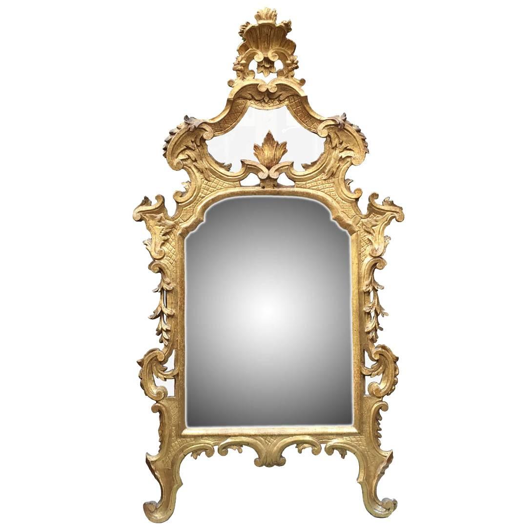 18th Century Italian Louis XV Gilded Mirror Carved Tuscan Mirror from Lucca 6