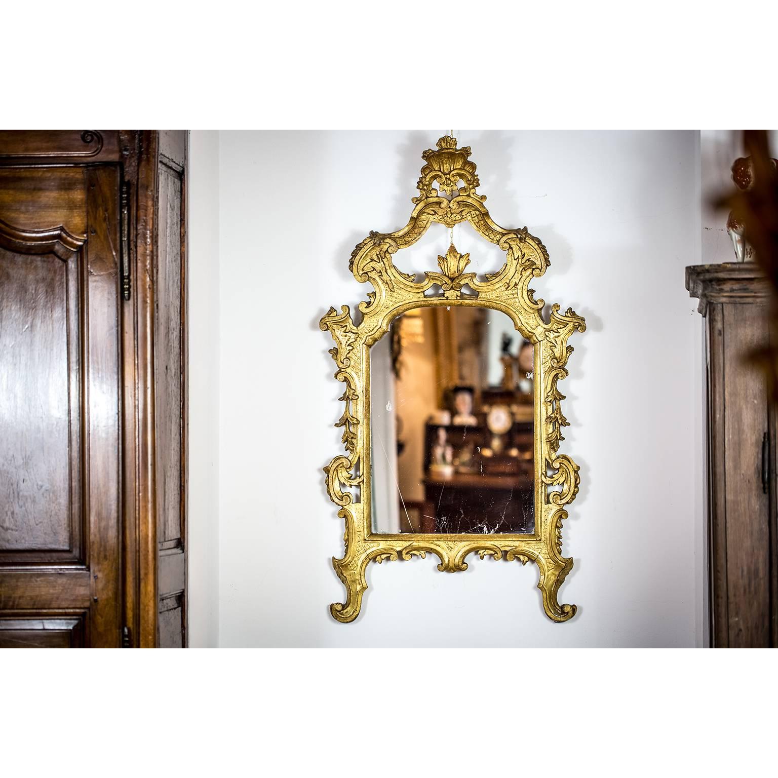 Gilt 18th Century Italian Louis XV Gilded Mirror Carved Tuscan Mirror from Lucca