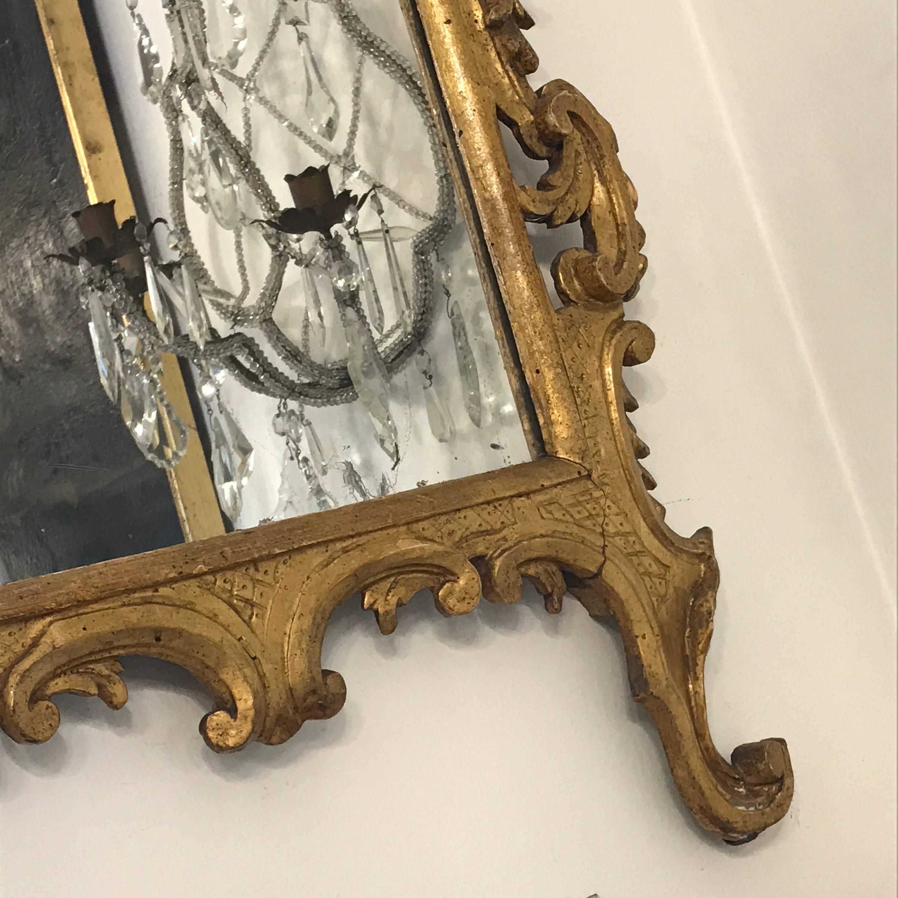 18th Century Italian Louis XV Gilded Mirror Carved Tuscan Mirror from Lucca 2