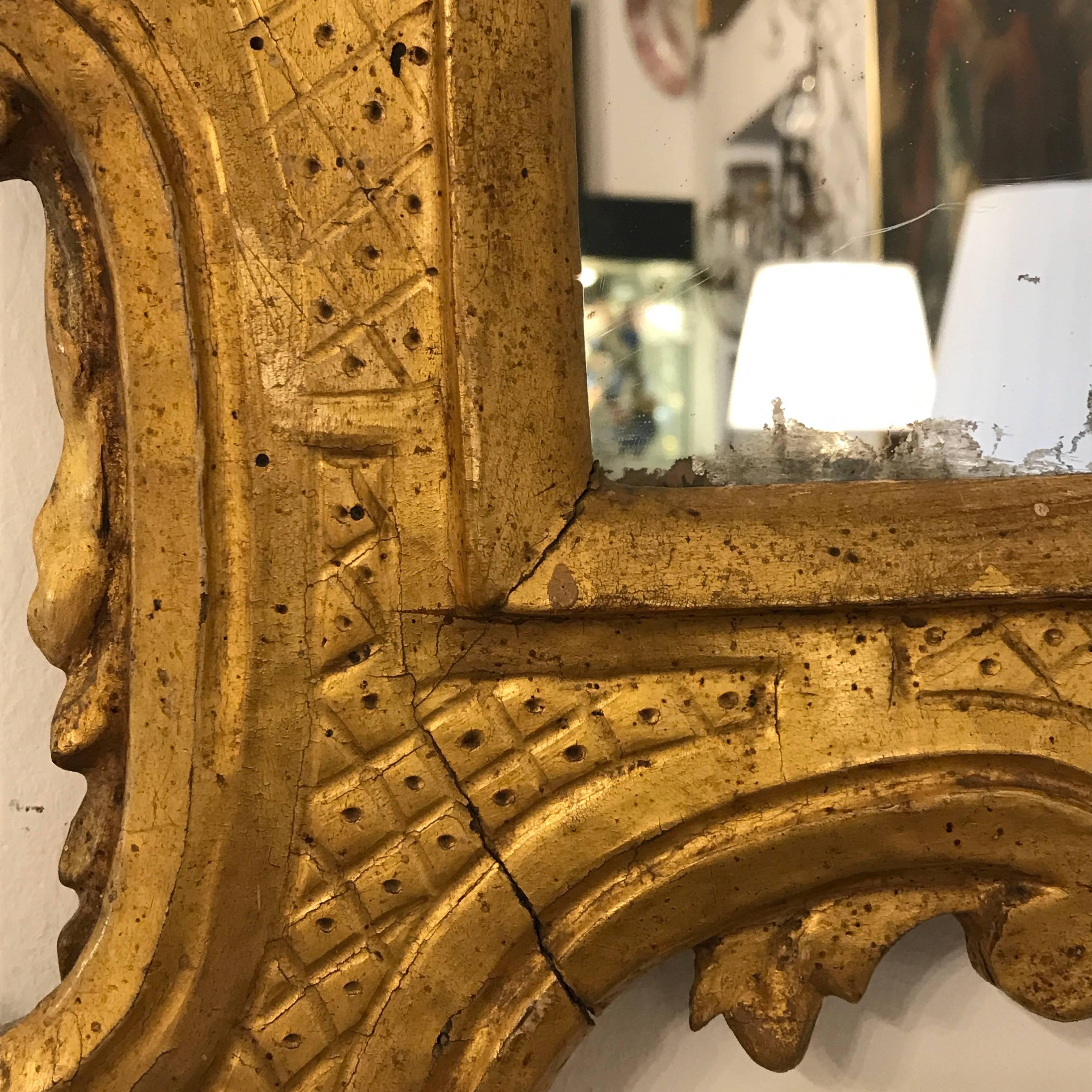 18th Century Italian Louis XV Gilded Mirror Carved Tuscan Mirror from Lucca 2