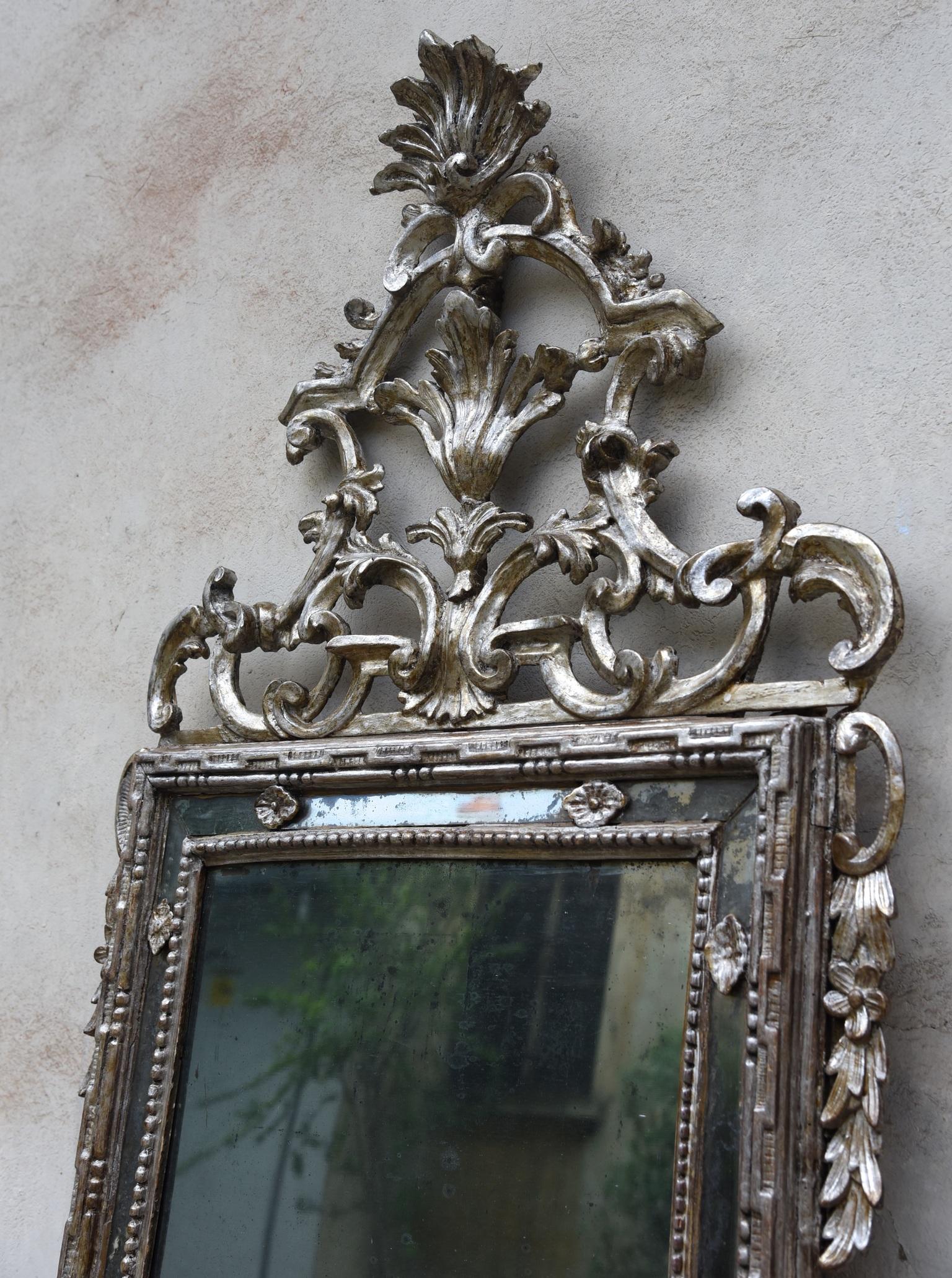 18th Century Italian Louis XVI Mirror Silvered with sheets Sculpted, 1700s 2