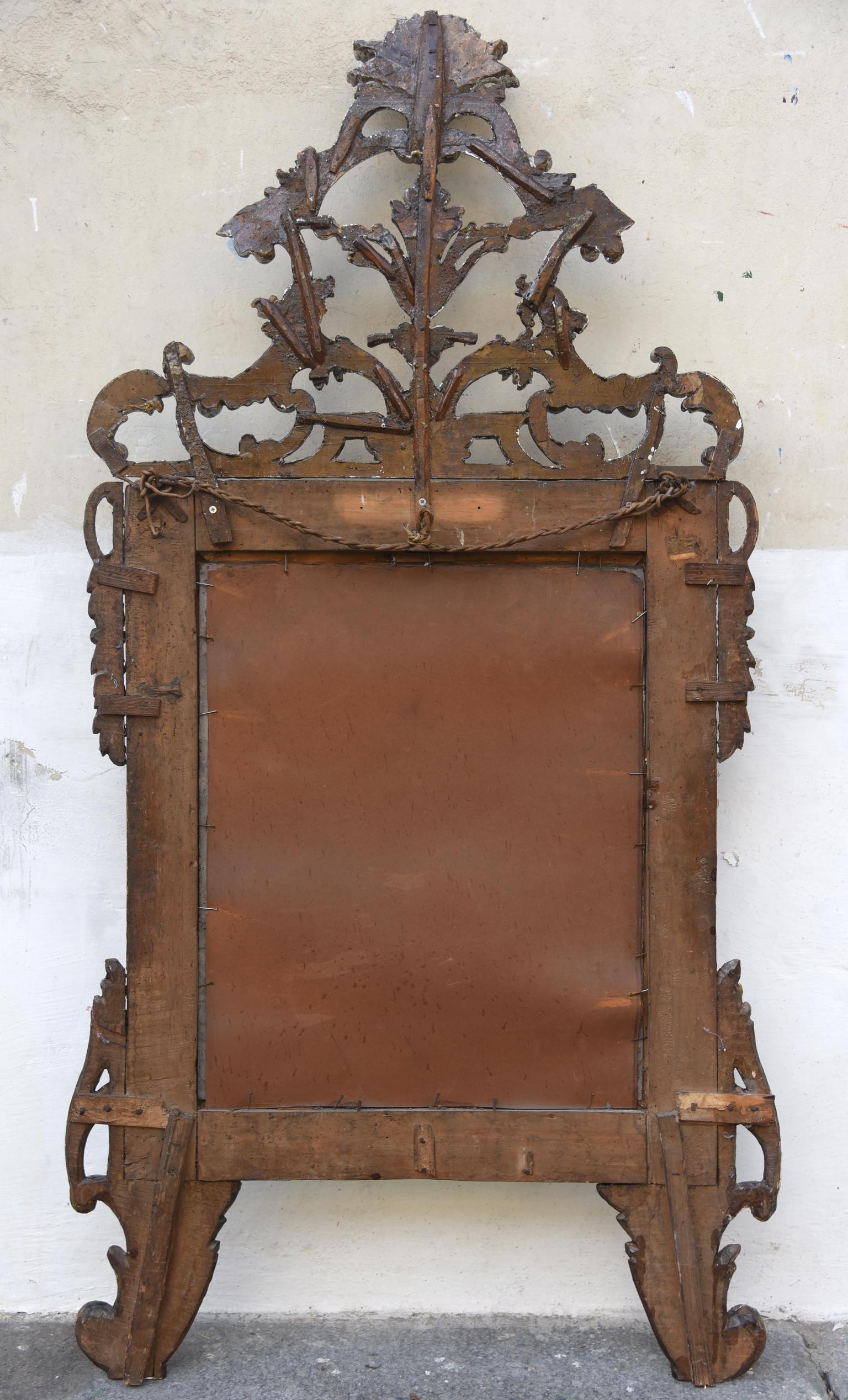 18th Century Italian Louis XVI Mirror Silvered with sheets Sculpted, 1700s 4