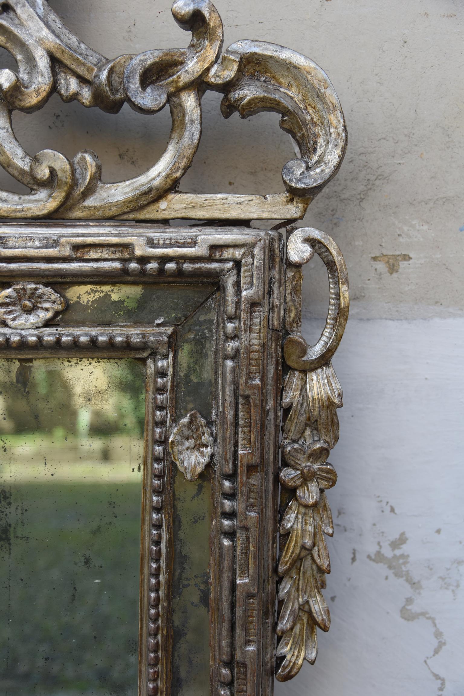 18th Century Italian Louis XVI Mirror Silvered with sheets Sculpted, 1700s 5