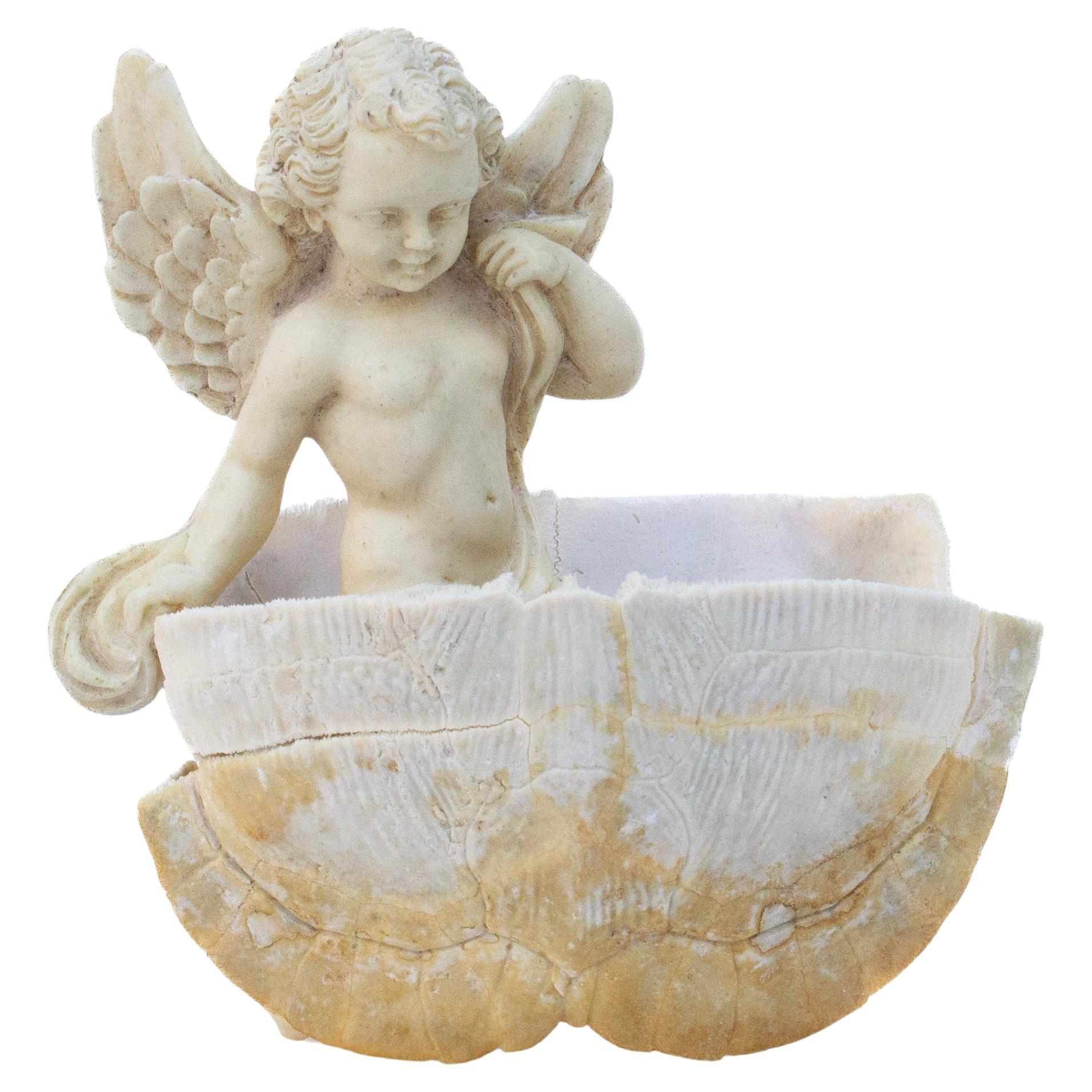 Angelo in marmo di Carrara del XVIII secolo con guscio di tartaruga sbiancato, montato su una base in alabastro lucido. 

Il guscio di tartaruga sbiancato emula un bagno per l'angelo. L'angelo è realizzato in marmo di Carrara o marmo Luna. Un tipo