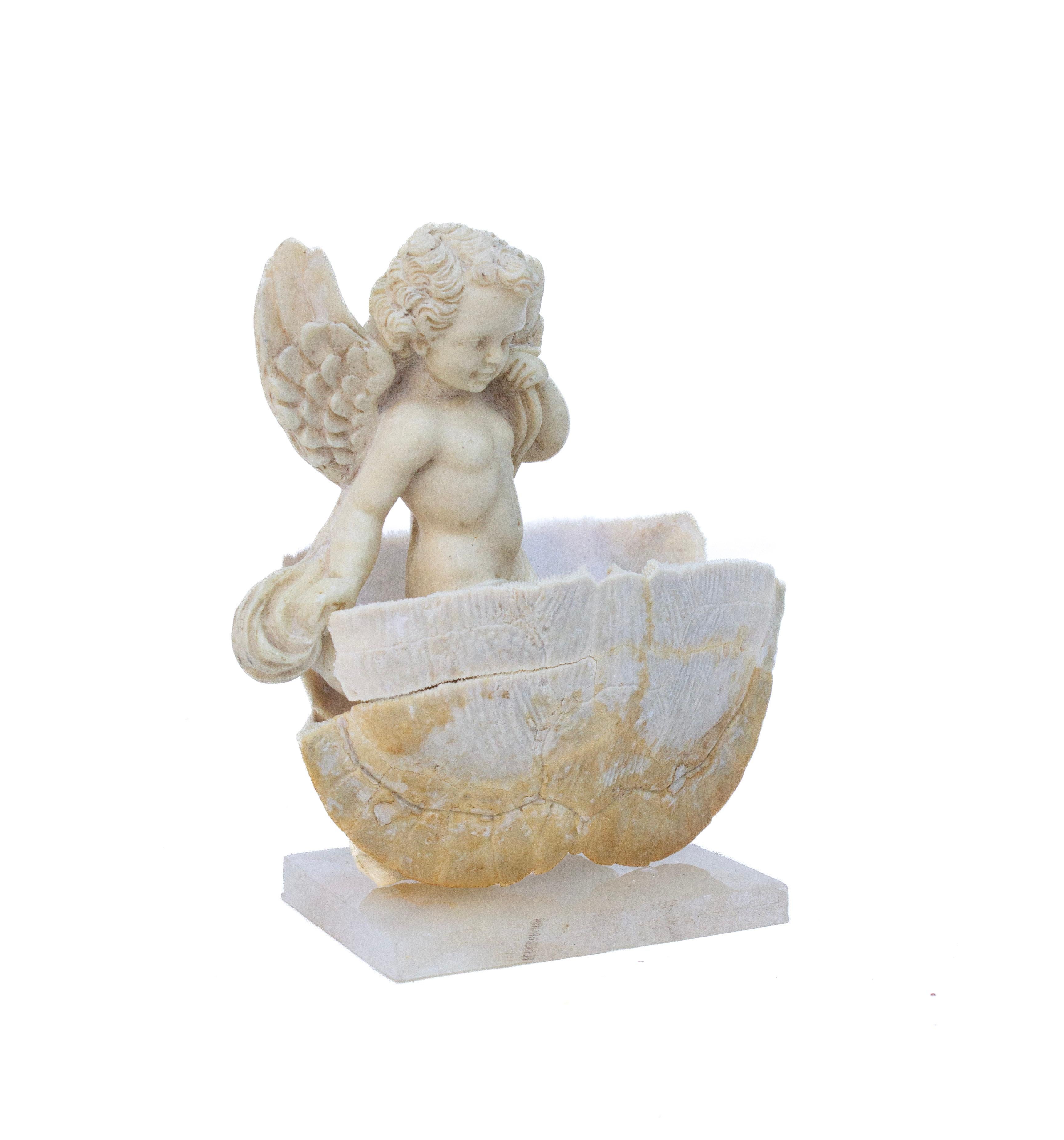 Italiano 18th Century Italian Marble Angel in a Bleached Turtle Shell on Alabaster in vendita