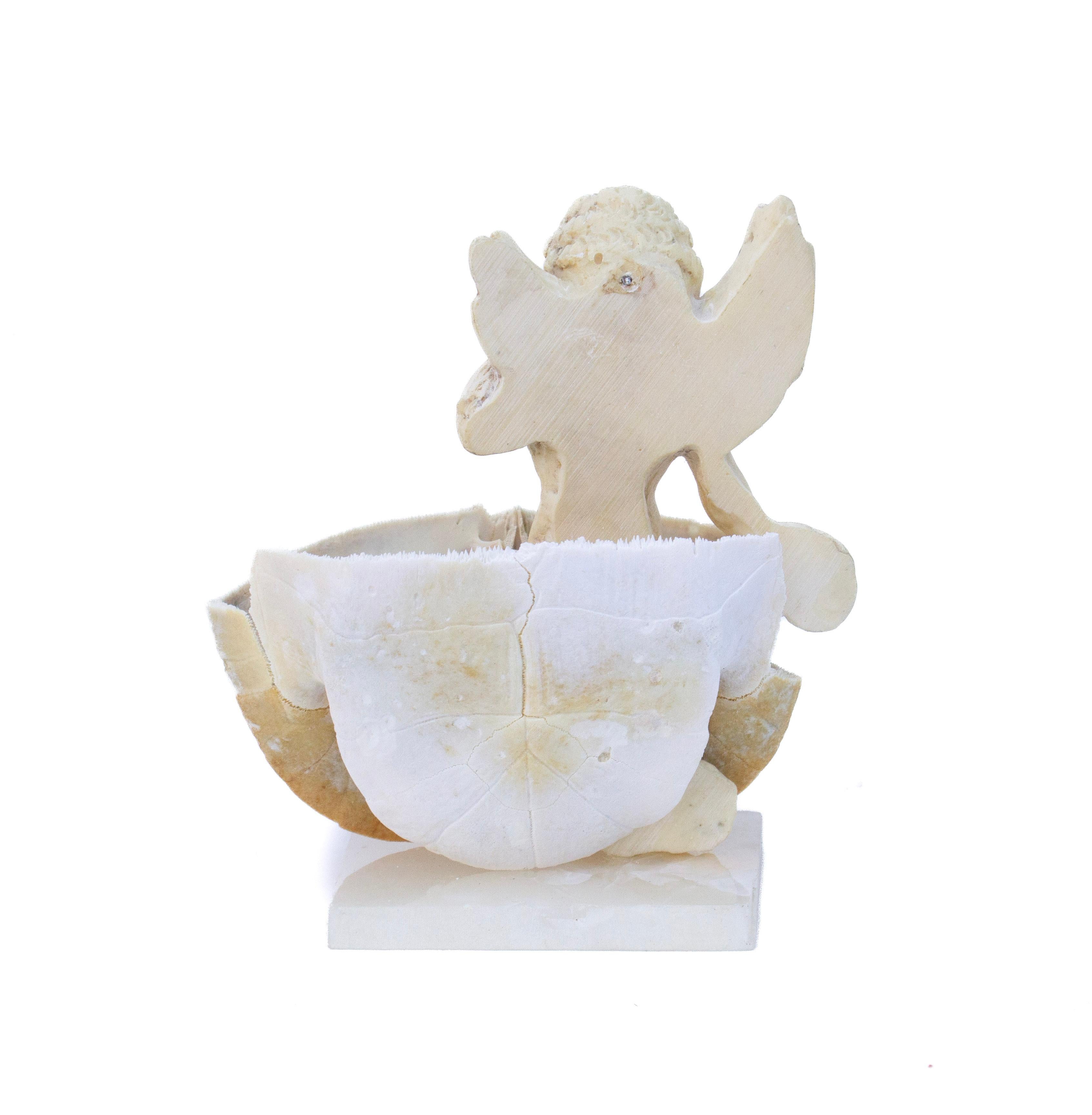 18th Century Italian Marble Angel in a Bleached Turtle Shell on Alabaster In condizioni buone in vendita a Dublin, Dalkey