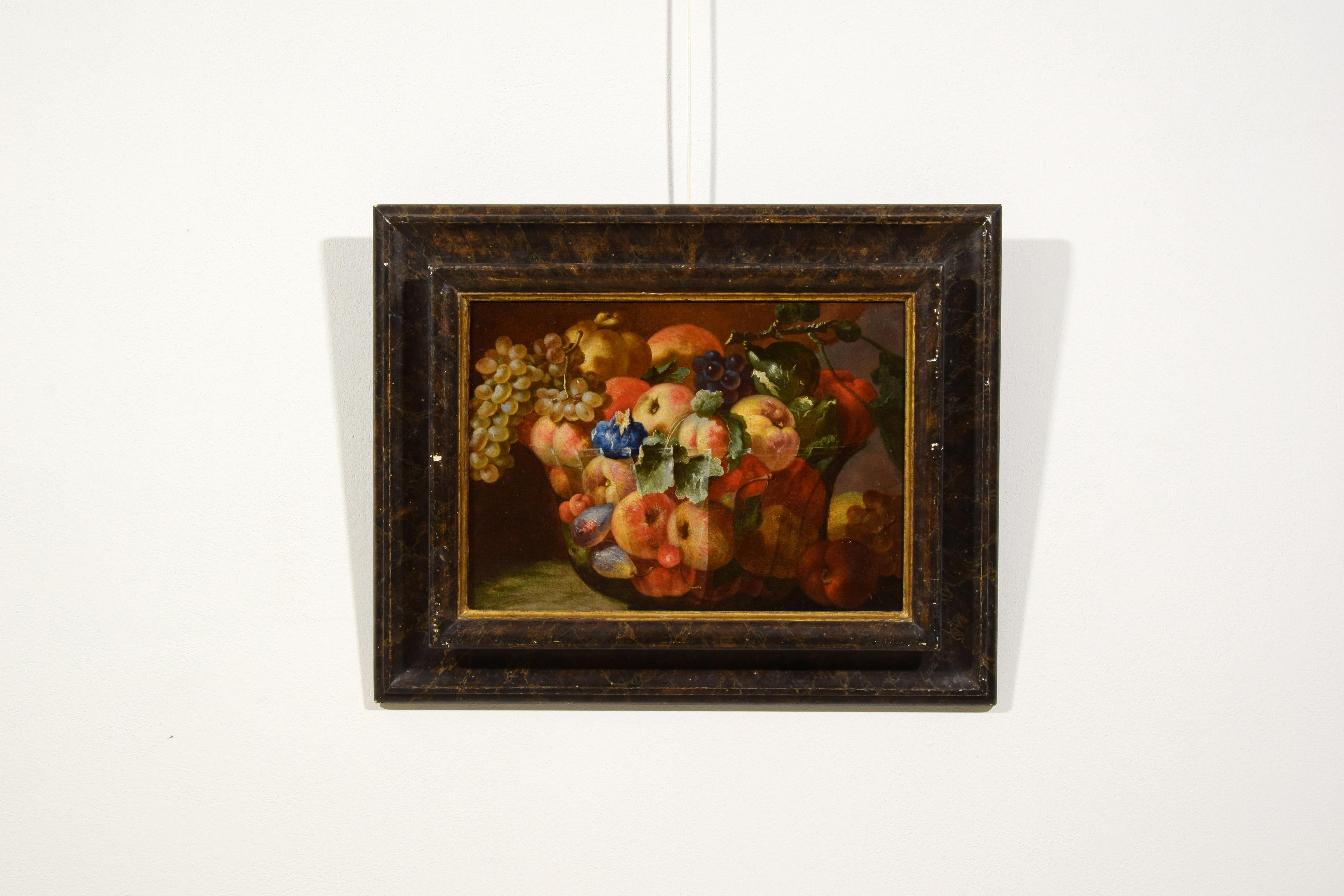 18th Century, Italian Painting Still Life by Giovanni Paolo Castelli Lo Spadino For Sale 13