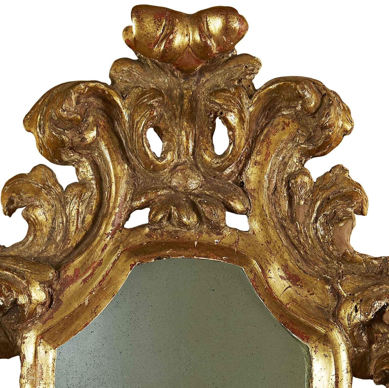 18th Century Italian Pair of Gilt Frames Small Louis XV Carved Mirrors 1