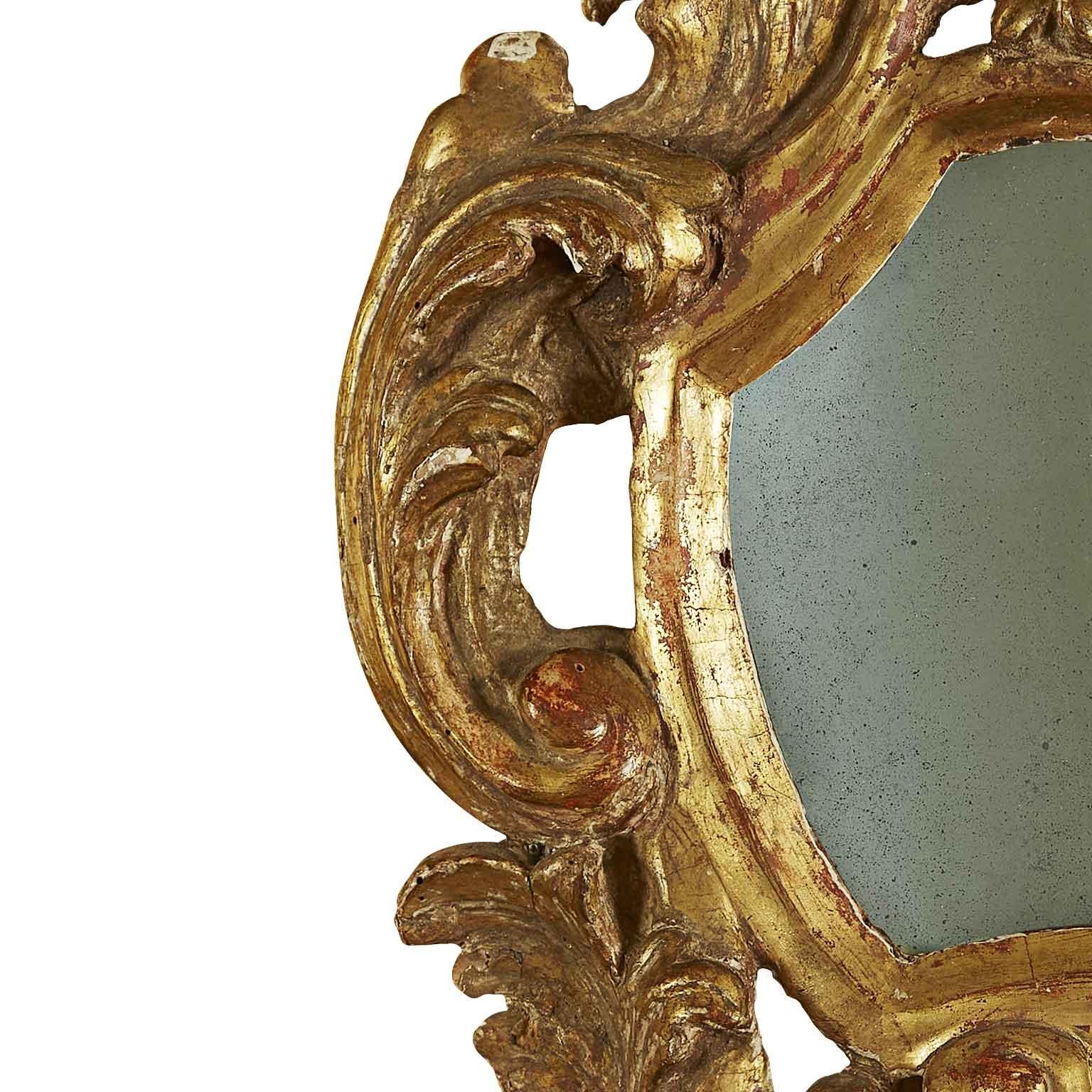 18th Century Italian Pair of Gilt Frames Small Louis XV Carved Mirrors 2