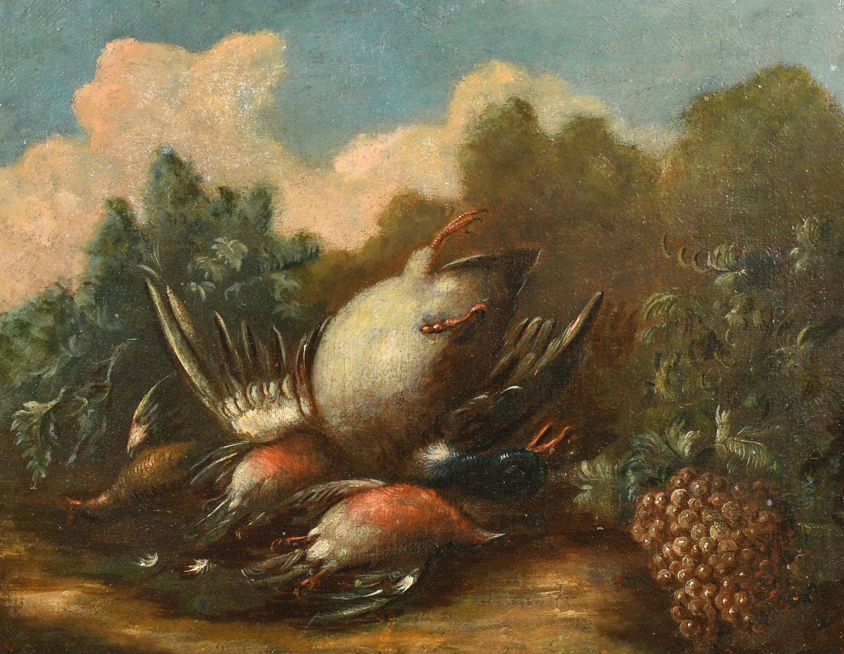 Still Life with Dead Birds
18th Century Italian School
oil painting on canvas, framed
framed: 17 x 21 inches
canvas: 14 x 18 inches 
provenance: private collection, Surrey, England 
condition: very good and sound condition