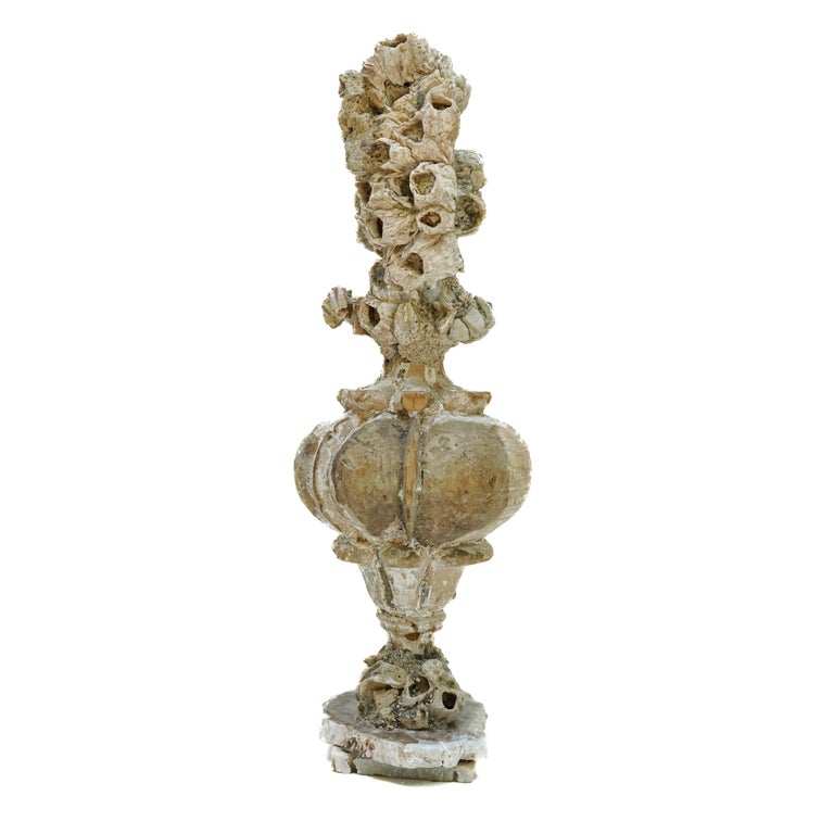 18th century Italian vase mounted with a fossil barnacle cluster and sitting on a petrified wood and barnacle base.

This fragment is from a church in Florence. It was found and saved from the historic flooding of the Arno River in 1966. The piece