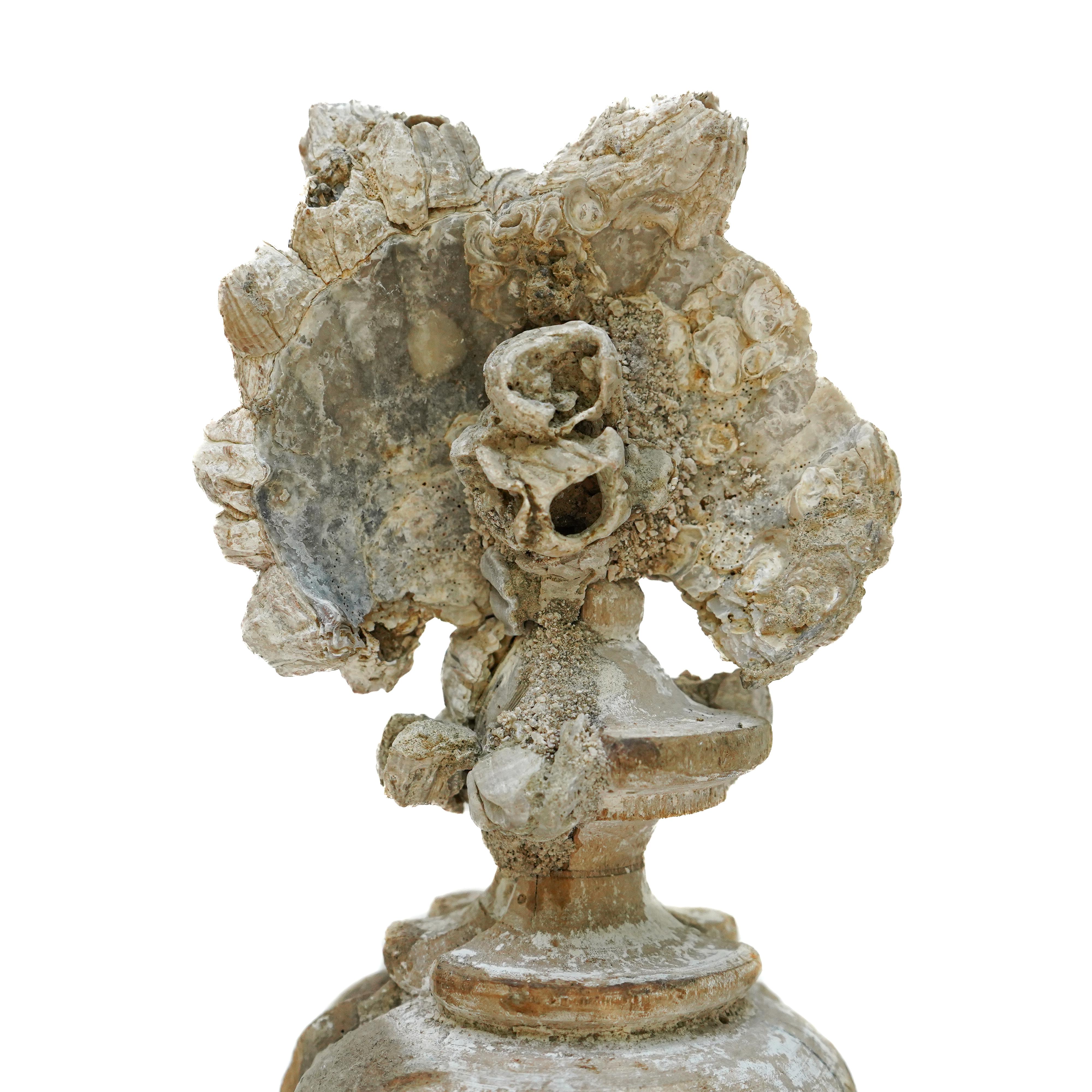 Italienische Vase „Florence Fragment“ aus dem 18. Jahrhundert mit Cluster aus Fossil Barnacle (Rokoko) im Angebot