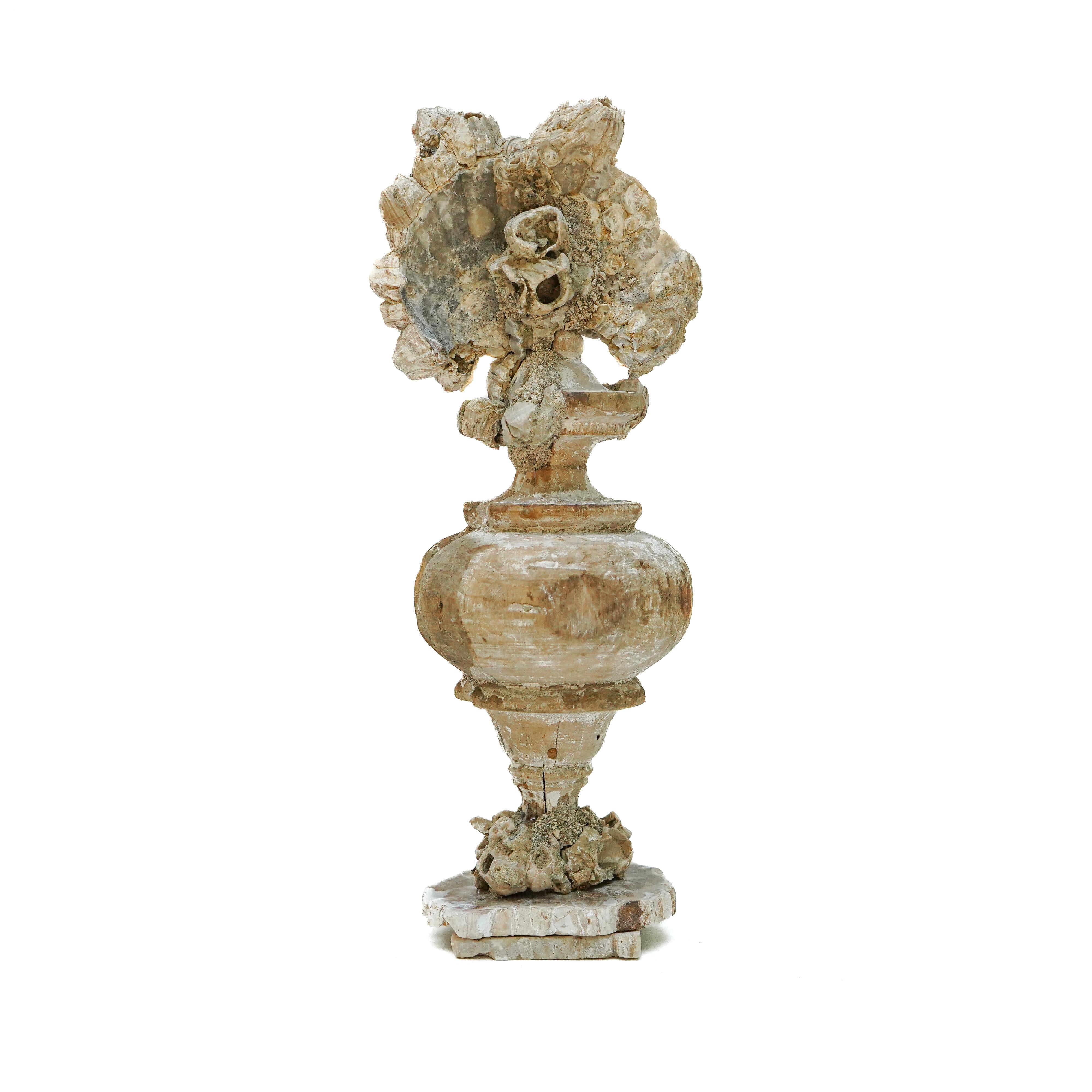 Italienische Vase „Florence Fragment“ aus dem 18. Jahrhundert mit Cluster aus Fossil Barnacle (Handgeschnitzt) im Angebot
