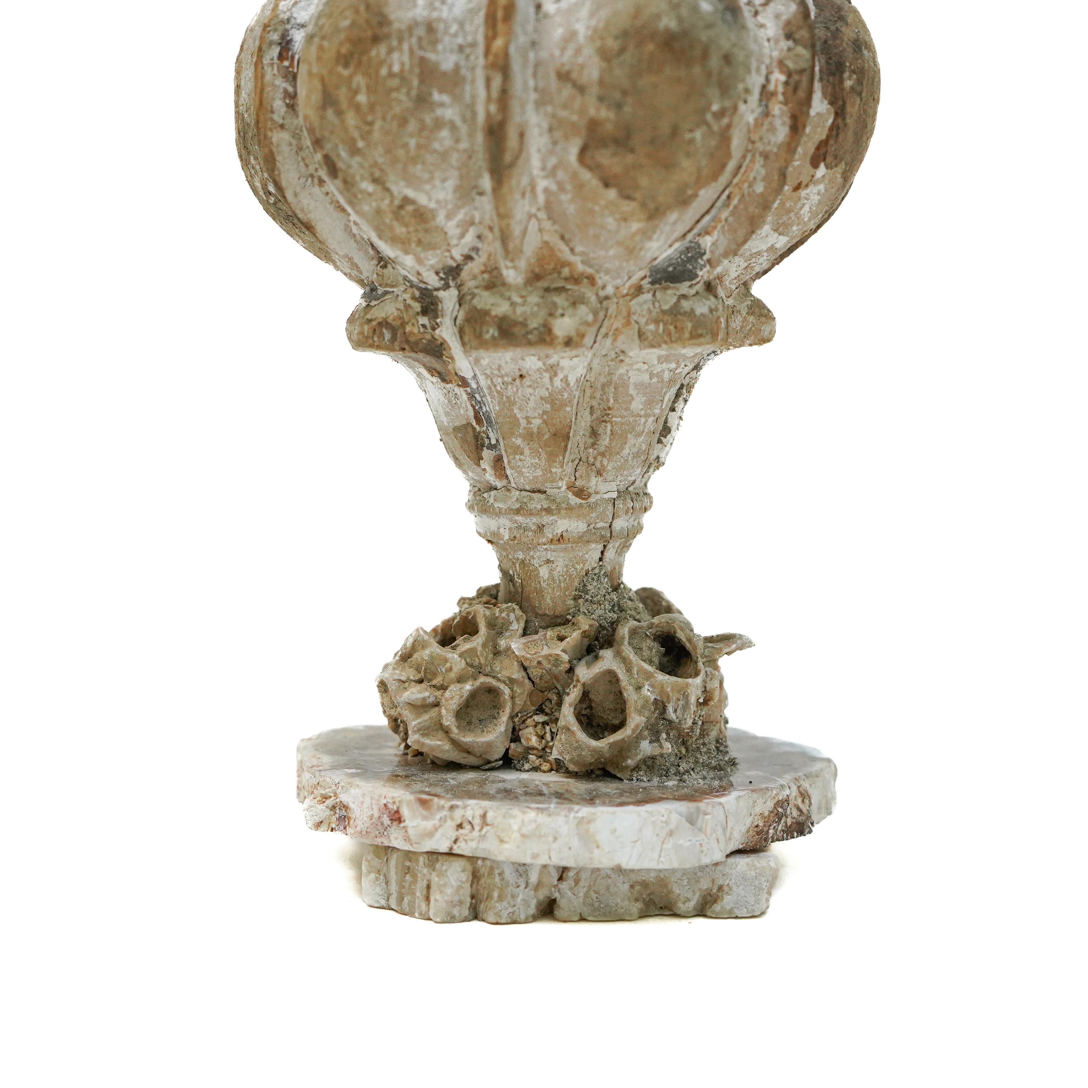 Hand-Carved 18th Century Italian 'Florence Fragment' Vase with Fossil Barnacle Clusters For Sale