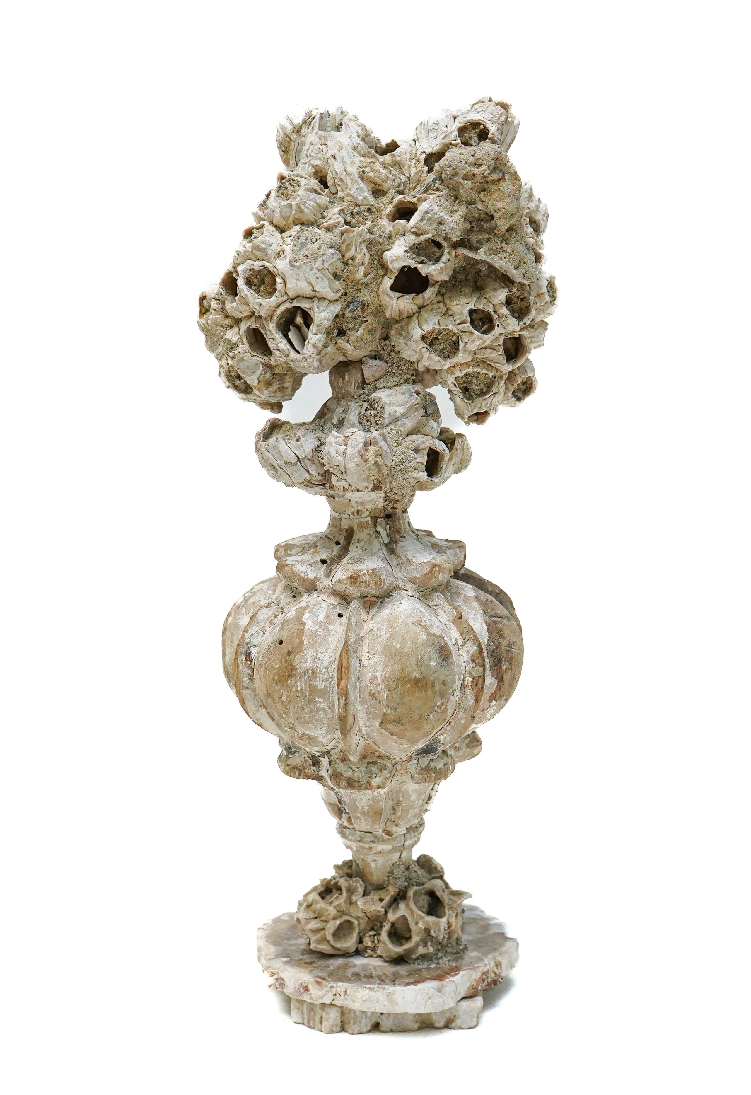 Petrified Wood 18th Century Italian 'Florence Fragment' Vase with Fossil Barnacle Clusters For Sale