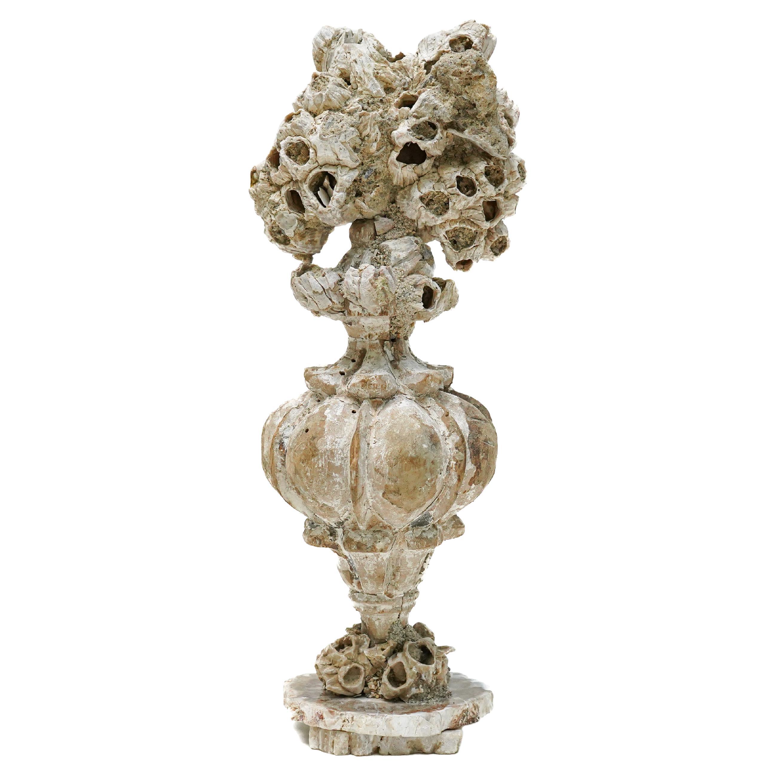 18th Century Italian 'Florence Fragment' Vase with Fossil Barnacle Clusters