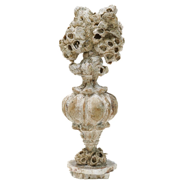 18th Century Italian 'Florence Fragment' Vase with Fossil Barnacle Clusters For Sale