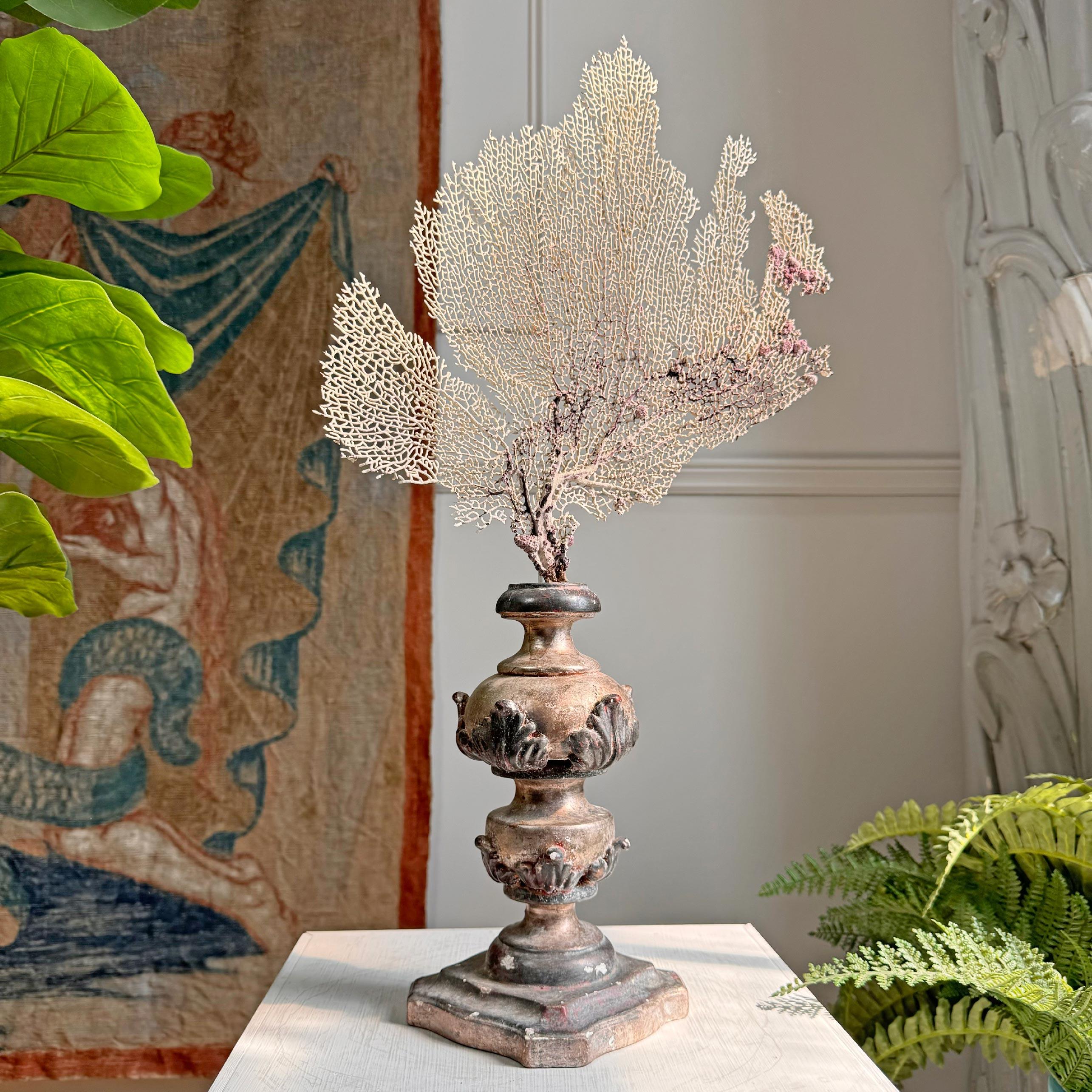 Vase d'autel en bois et gesso appliqué, fabriqué à la main à la fin du XVIIIe siècle, avec une finition en argent rose doré.

Petites zones de perte au gesso et usure de la peinture correspondant à l'âge de l'œuvre.



Le corail antique en éventail