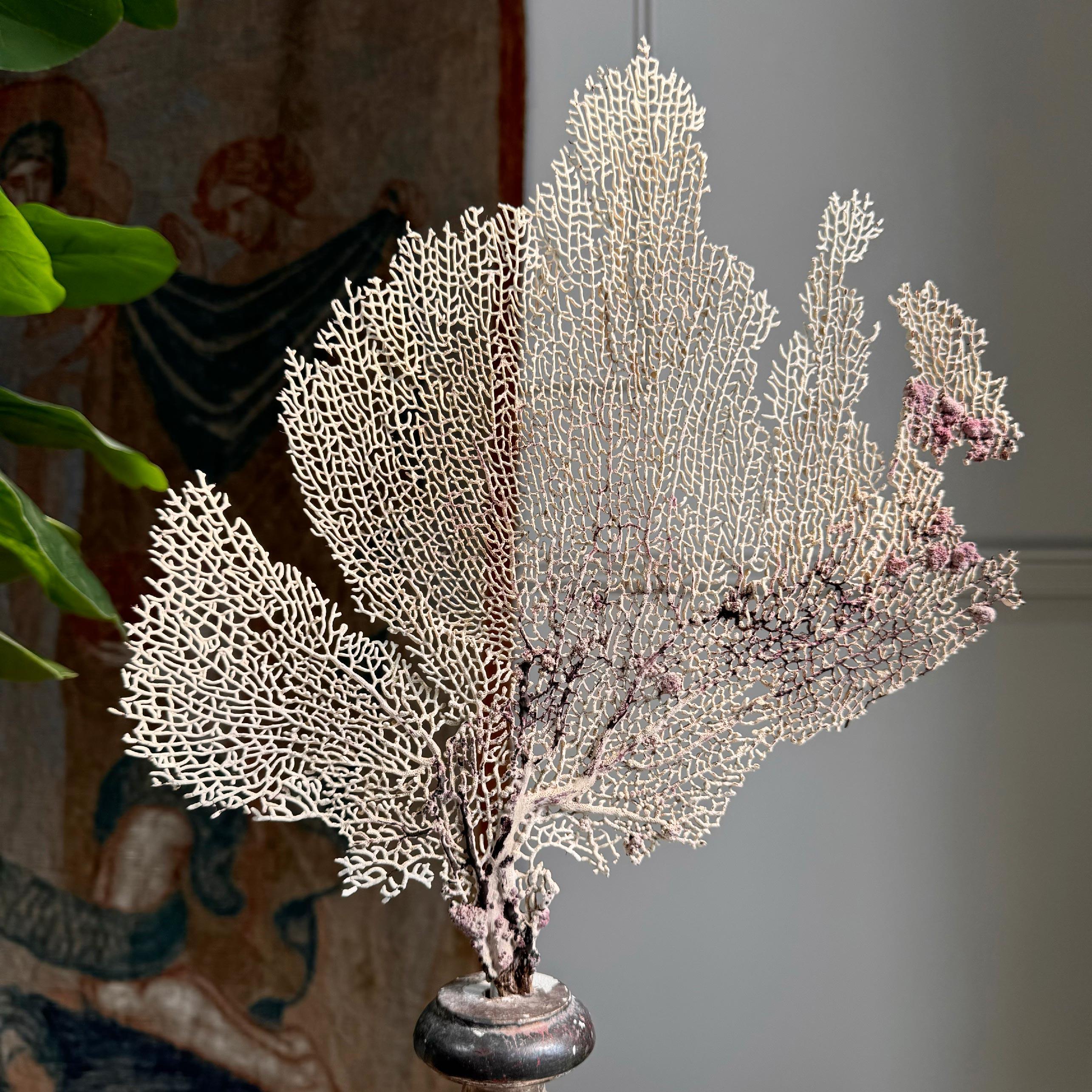 Fait main Vase d'autel italien du 18ème siècle en bois et gesso en argent rose en vente