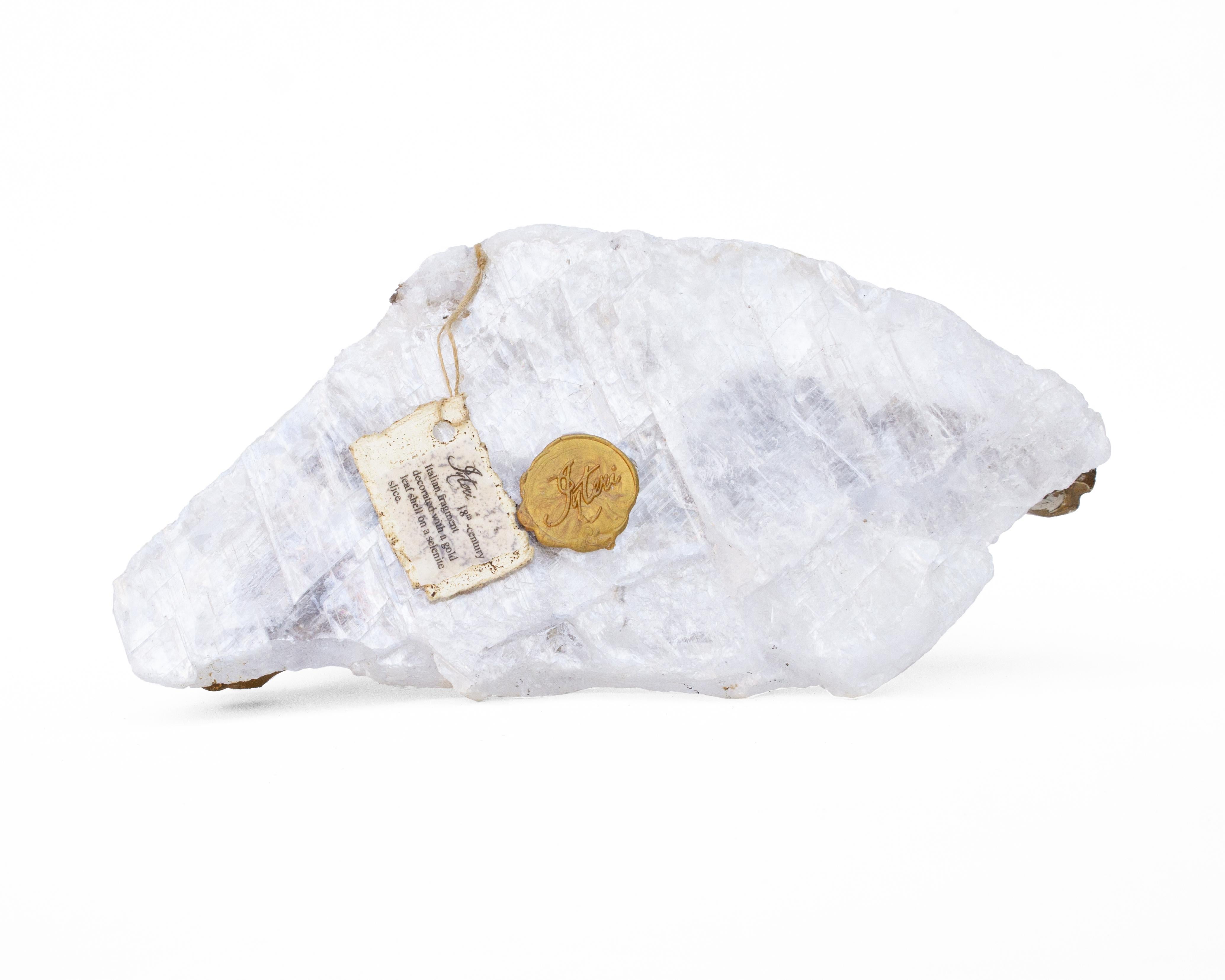 18th Century Italian Wood Fragment with Gold Shell on a Selenite Mineral Slice In Good Condition In Dublin, Dalkey