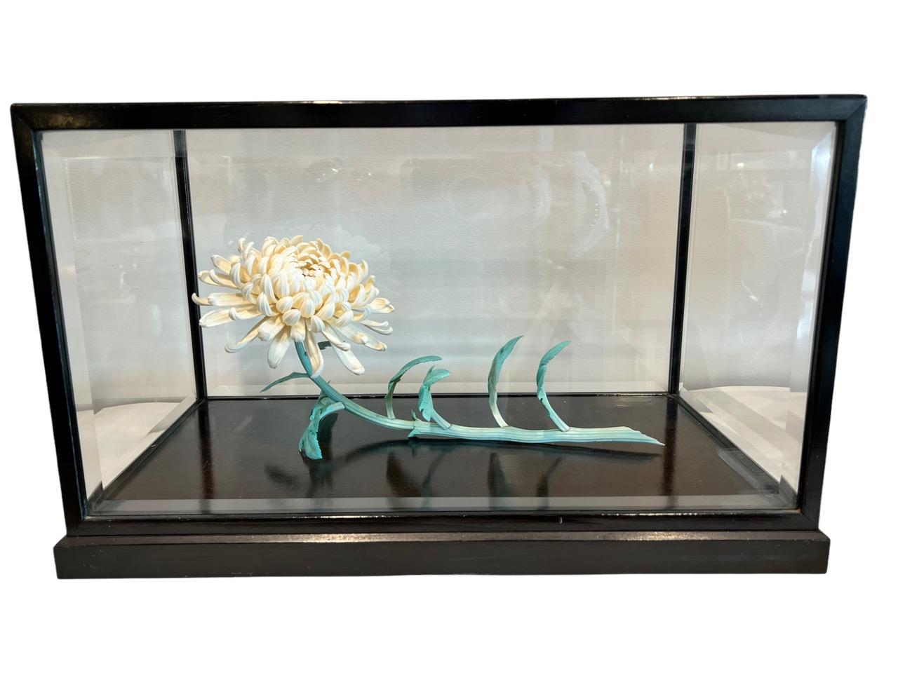 18th Century Japanese hand-carved fully blossomed chrysanthemum flower figurine made of white bone with branch and leaves painted. The flower is placed inside its original glass and wood case. These flowers are native to East Asia and northeastern