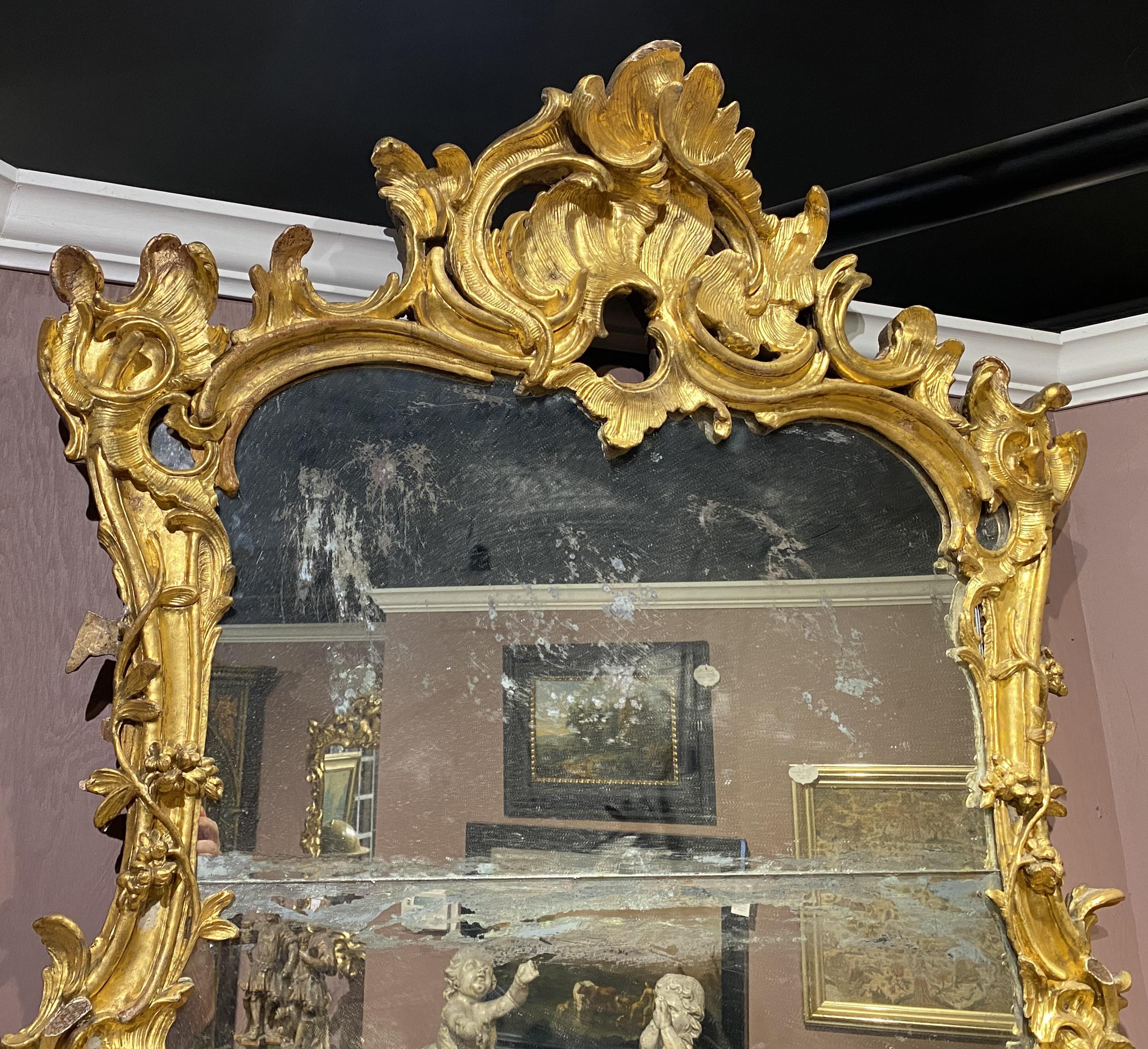 Miroir ou miroir à pied rococo avec un cadre en bois doré sculpté à la main avec des accents feuillagés et une crête à volutes, probablement au XVIIIe siècle en Angleterre. Semble avoir conservé son verre et son dos d'origine,  en bon état général,