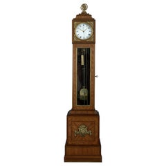 Antique 18th Century Louis XV Gilt-Bronze Mounted Tulipwood Regulator Longcase Clock