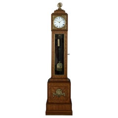 18th Century Louis XV Gilt-Bronze Mounted Tulipwood Regulator Longcase Clock