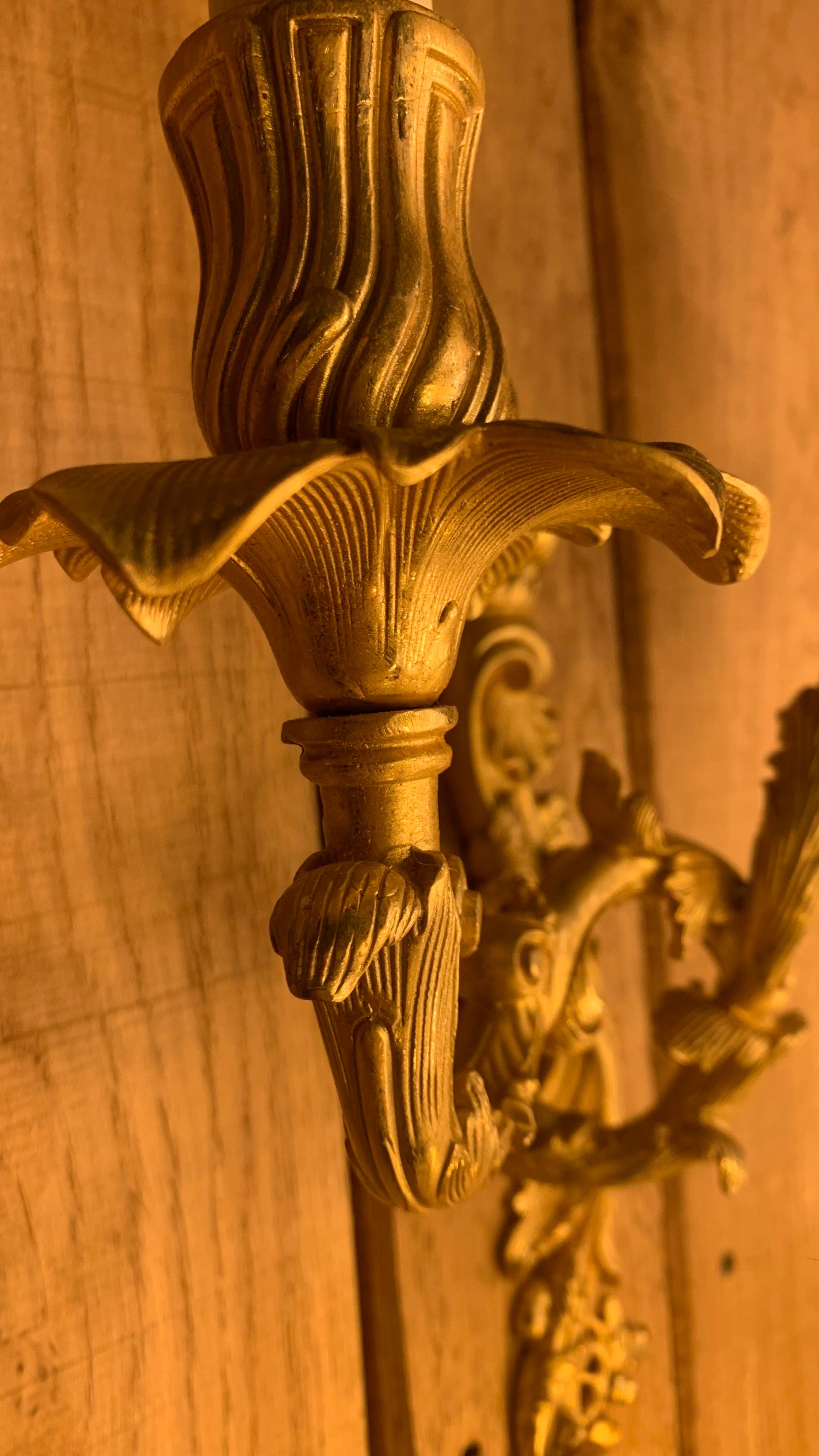 Ein Paar wunderschöner Wandleuchter aus vergoldeter Bronze im Stil Ludwigs XV., jeweils in asymmetrischer Rokokoform. Die stark verzierte Rückplatte ist mit Akanthus, Blütenköpfen, Eichenblättern und Eicheln umwickelt und geht in zwei verschlungene