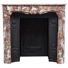 18th Century Louis XV Parisian Marble Fireplace Mantelpiece and Interior