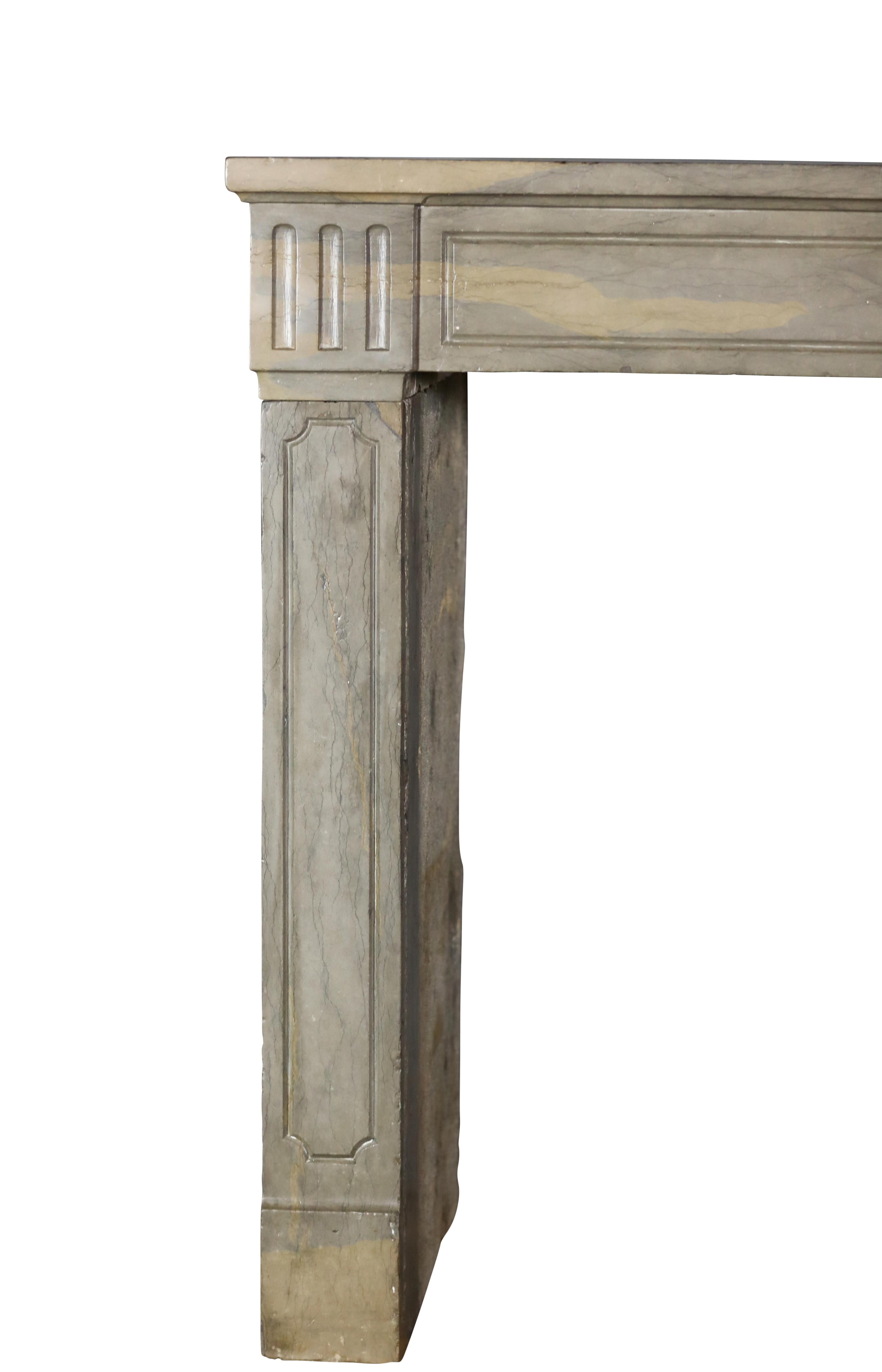 Camino classico in pietra francese del 18° secolo in stile Louis XVI, Classic Mantels in vendita 5