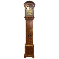 Antique 18th Century Louis XVI Sweden Elm Granfather Clock, 1790s