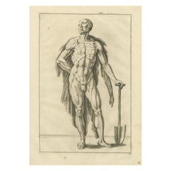 18th Century Male Nude with Shovel Academic Figure Study after de Lairesse c1745