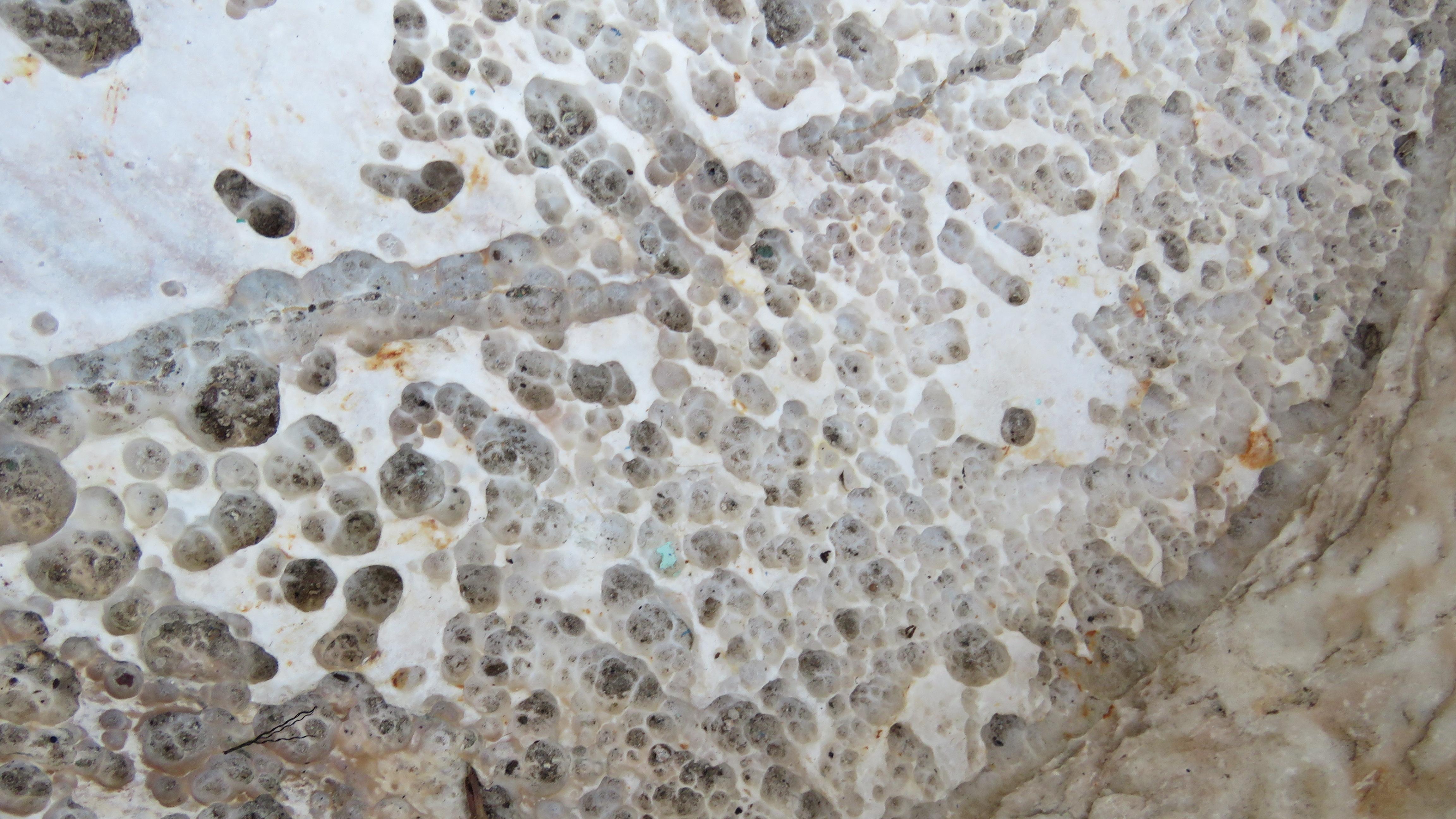 Bacino in marmo del XVIII secolo in vendita 6
