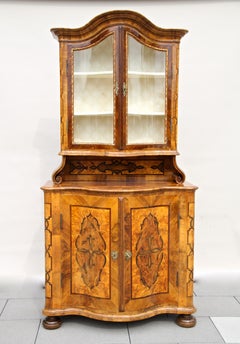 18th Century Marquetry Vitrine Cabinet or Display Cabinet, Austria, circa 1760
