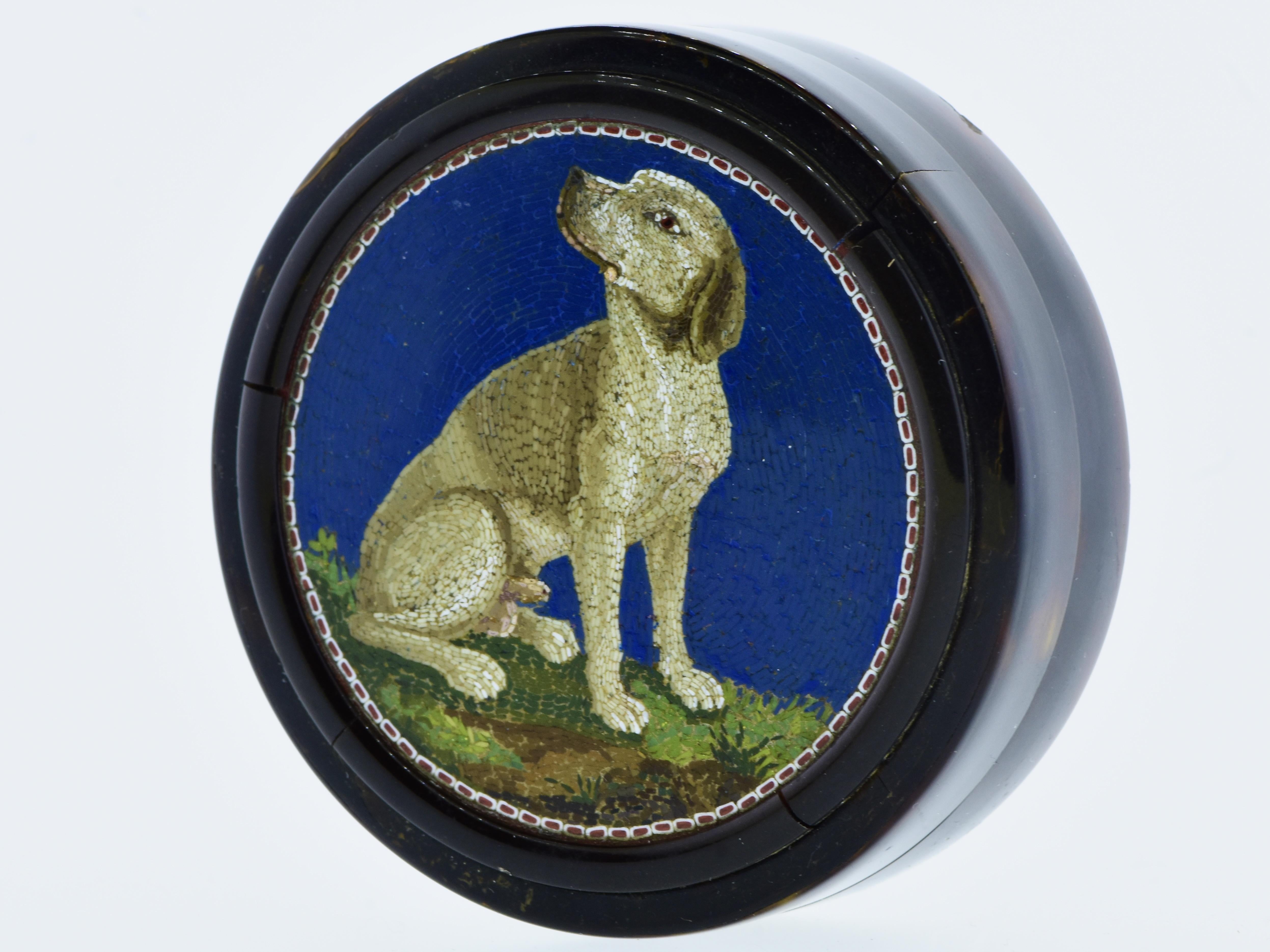 Micromosaico molto fine e raro di un cane seduto su diversi tipi di erba con uno sfondo blu intenso.  Questa bomboniera circolare misura poco meno di  2,5 pollici di diametro e 13/16 di pollice di profondità.  La scatola, di colore marrone intenso,
