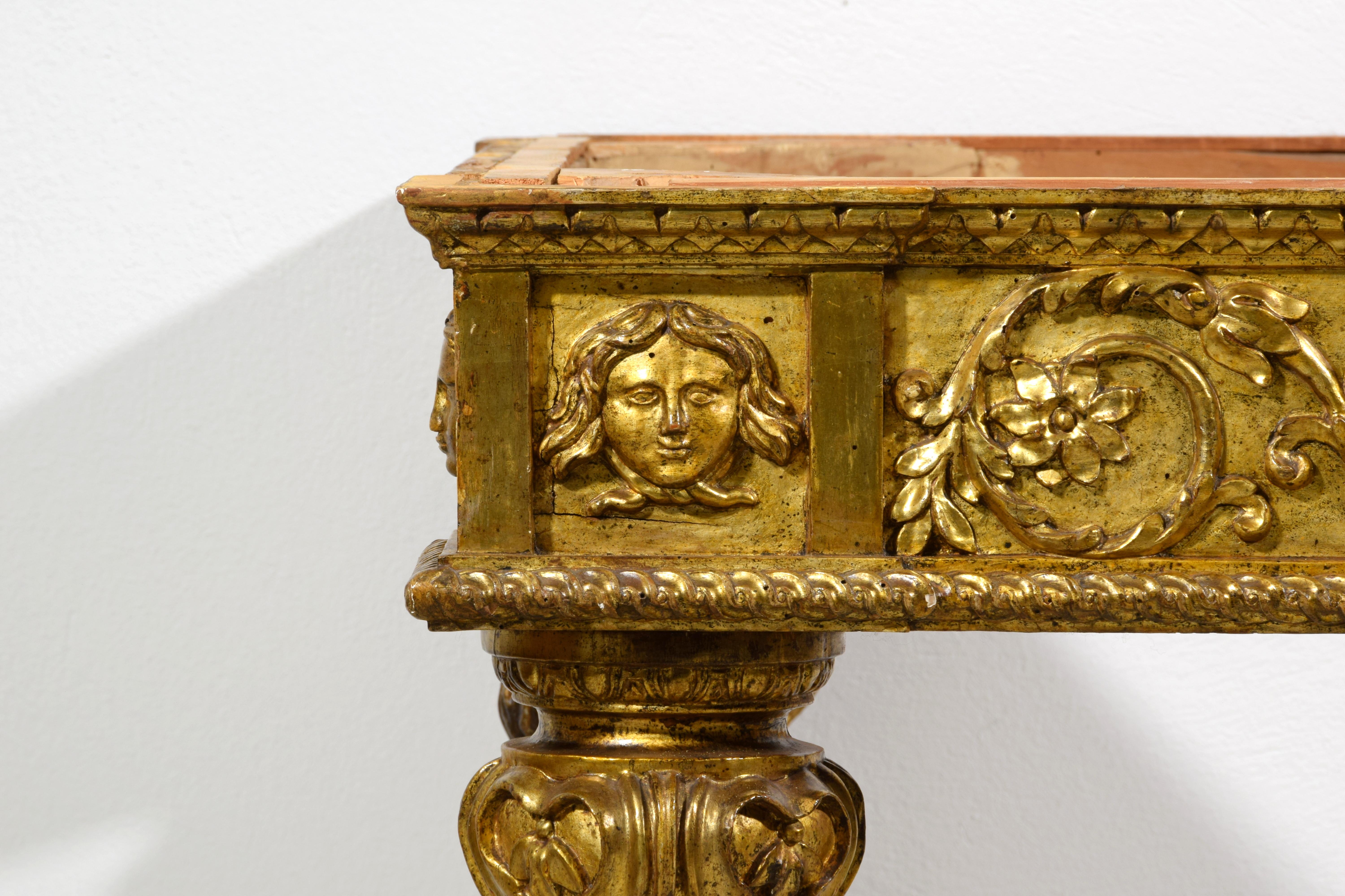18. Jahrhundert, Monumentales Paar italienischer neoklassizistischer Konsolen aus Giltwood im Angebot 11
