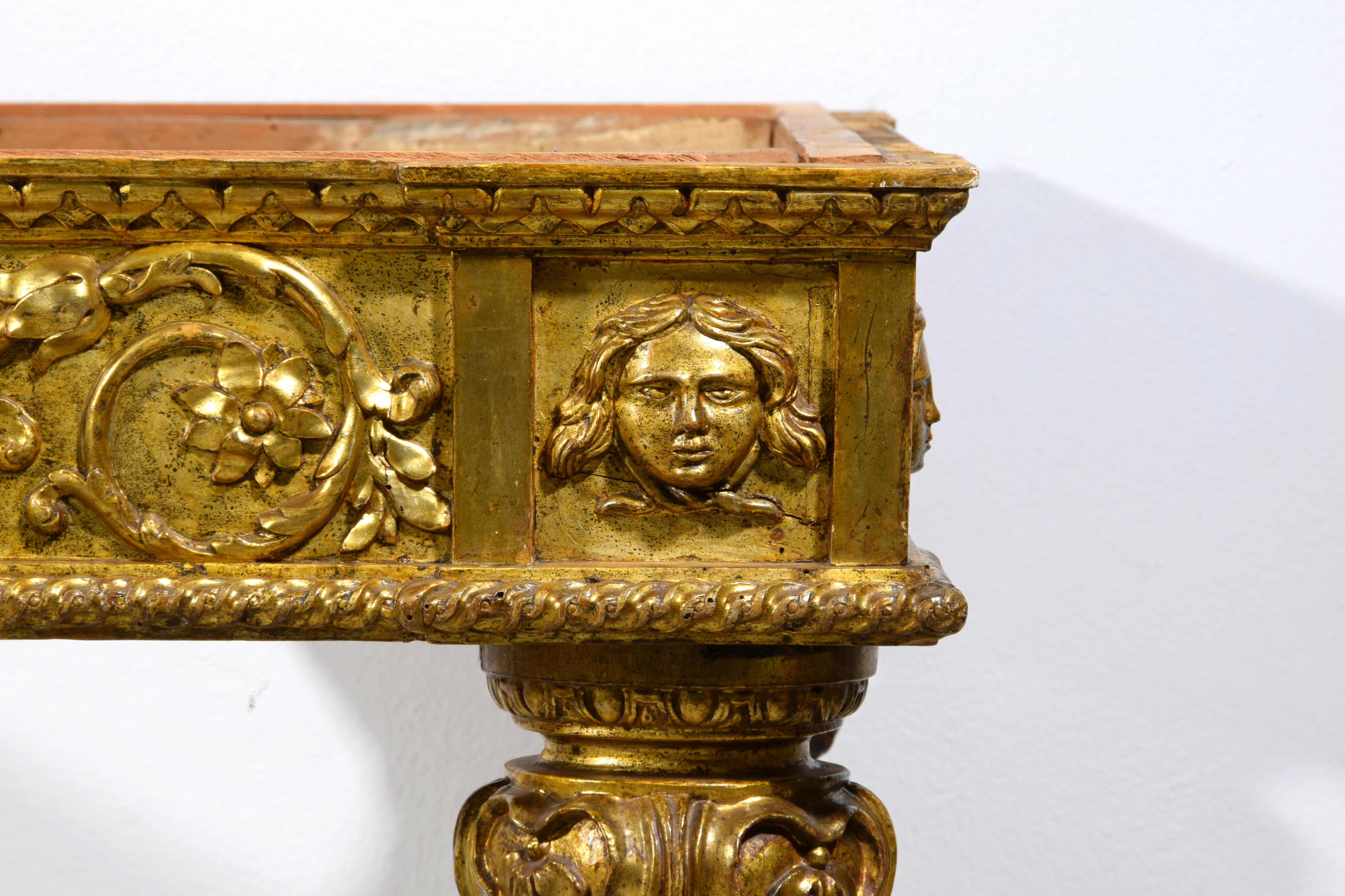 18. Jahrhundert, Monumentales Paar italienischer neoklassizistischer Konsolen aus Giltwood im Angebot 12