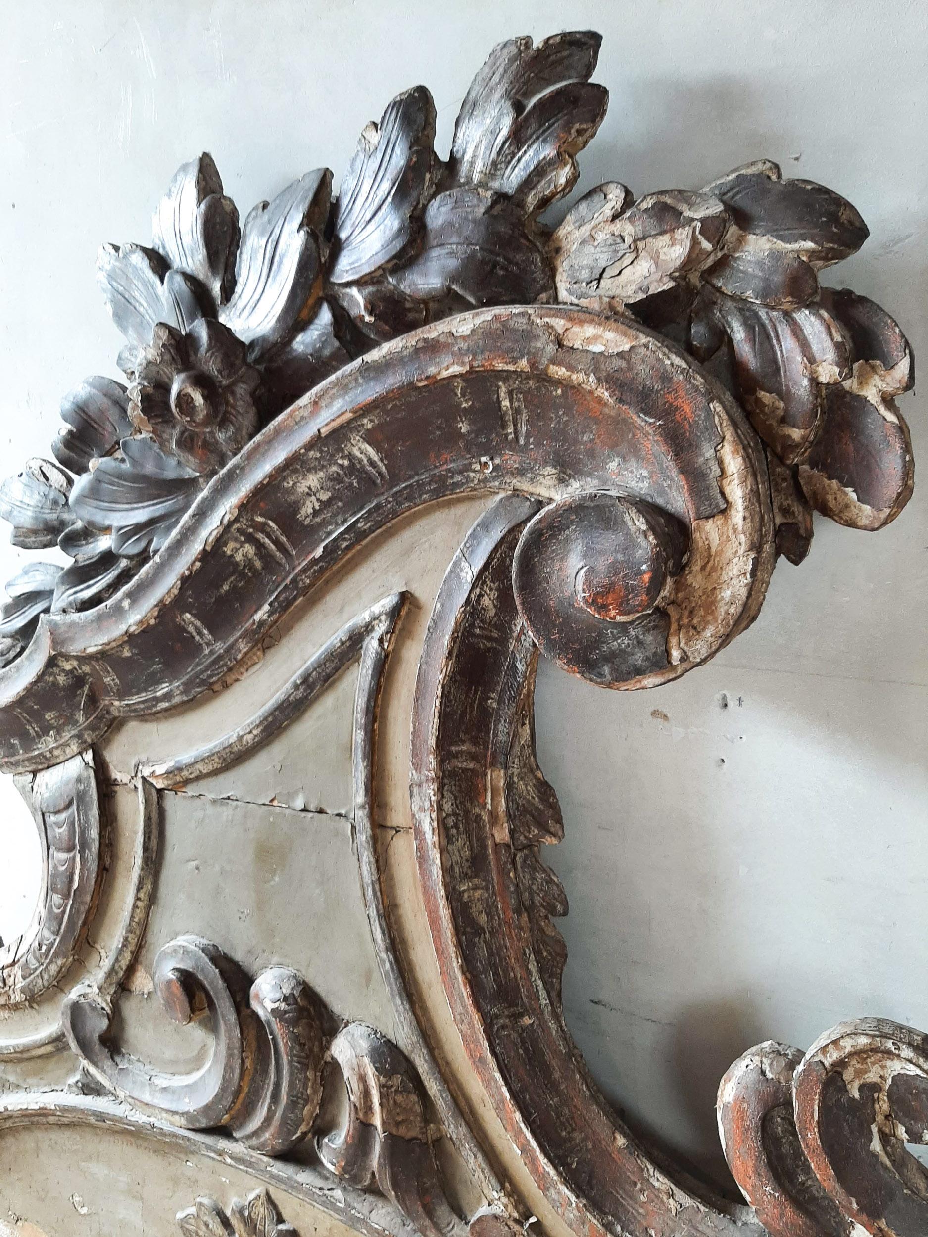 Monumentale XL Italienische Rokoko-Schnitzerei „Supra Porte“ mit Ornament aus Holz, 18. Jahrhundert im Angebot 2