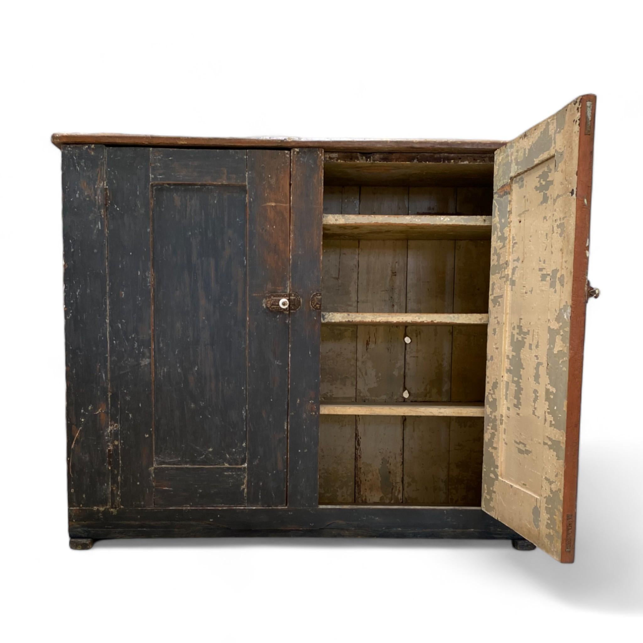 Painted 18th Century Narrow Storage Cupboard For Sale