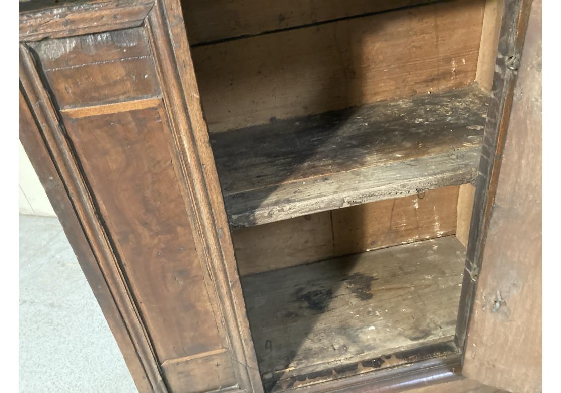 18th Century Neo Renaissance Tuscan Walnut Hall Cabinet For Sale 5