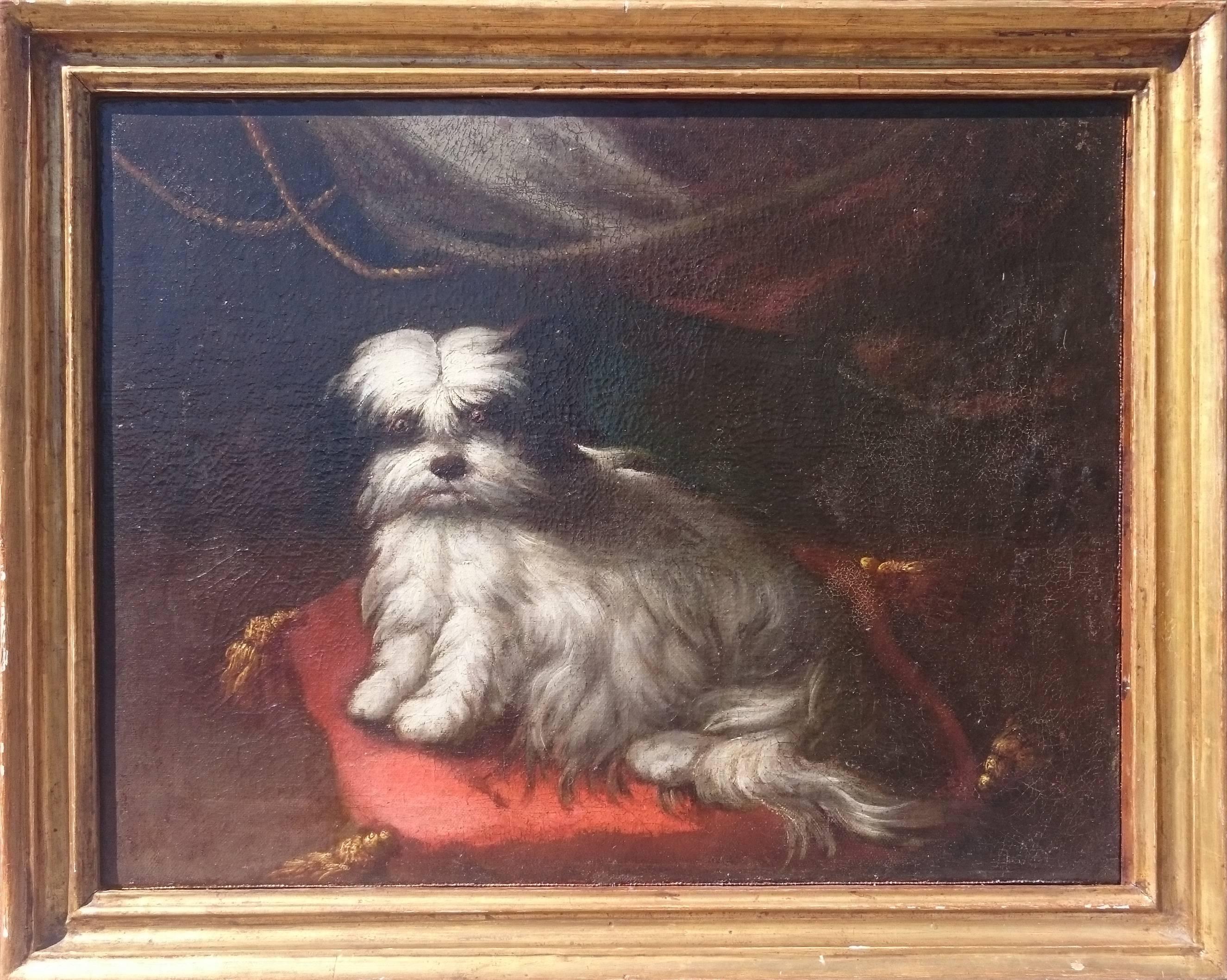 A charming 18th century Italian school painting of a dog on a red cushion, framed oil on canvas.

Measure: 21