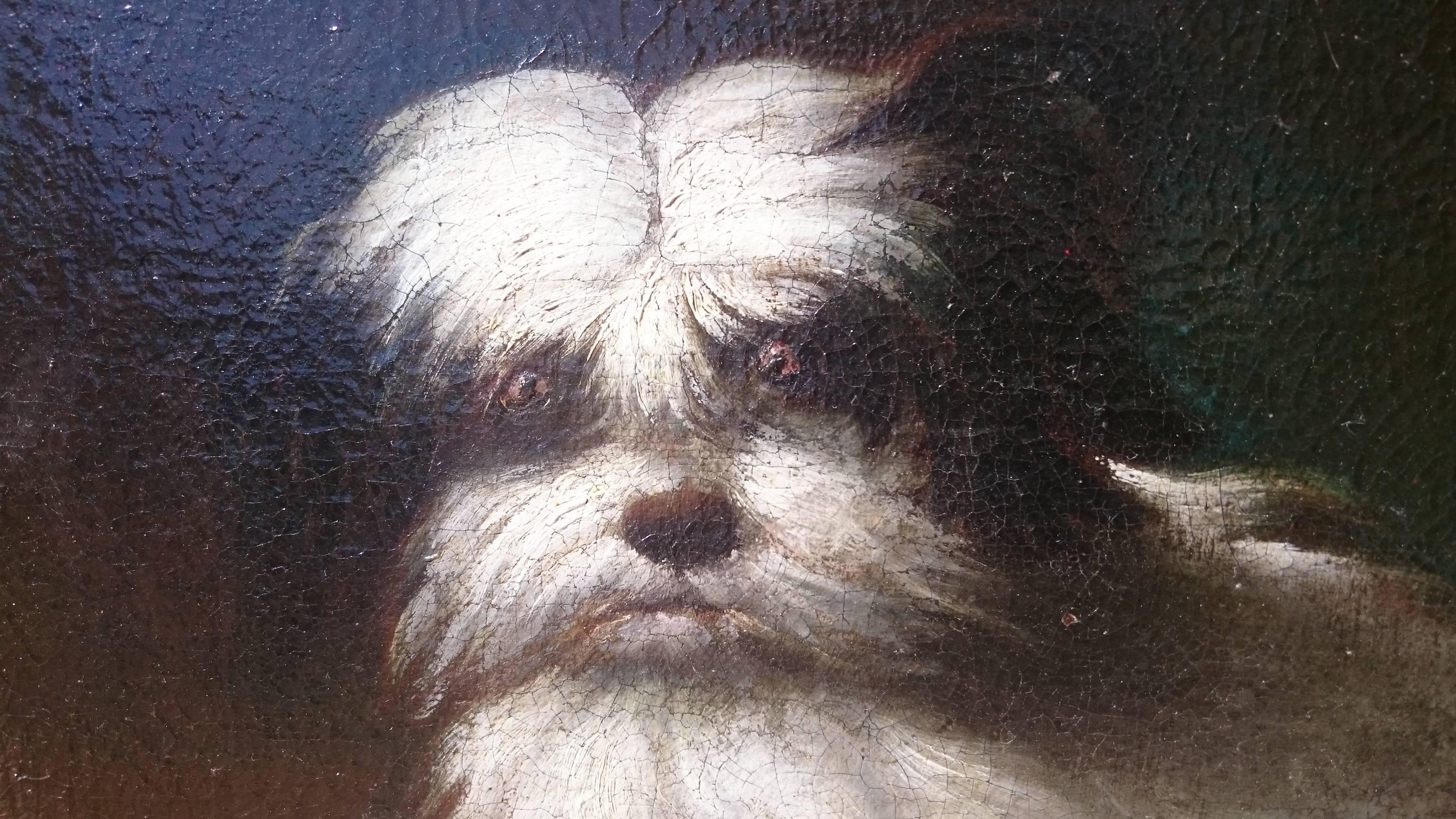 18th Century and Earlier 18th Century Oil on Canvas Italian School Painting of a Dog on a Red Cushion For Sale