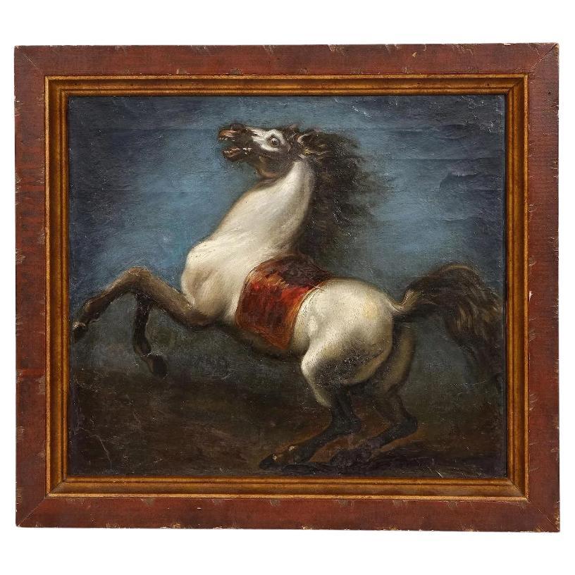 18th Century Oil on Canvas Study of Arabian White Stallion Horse Attributed T For Sale