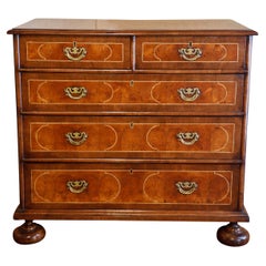 18th Century Oyster Cut Chest of Drawers