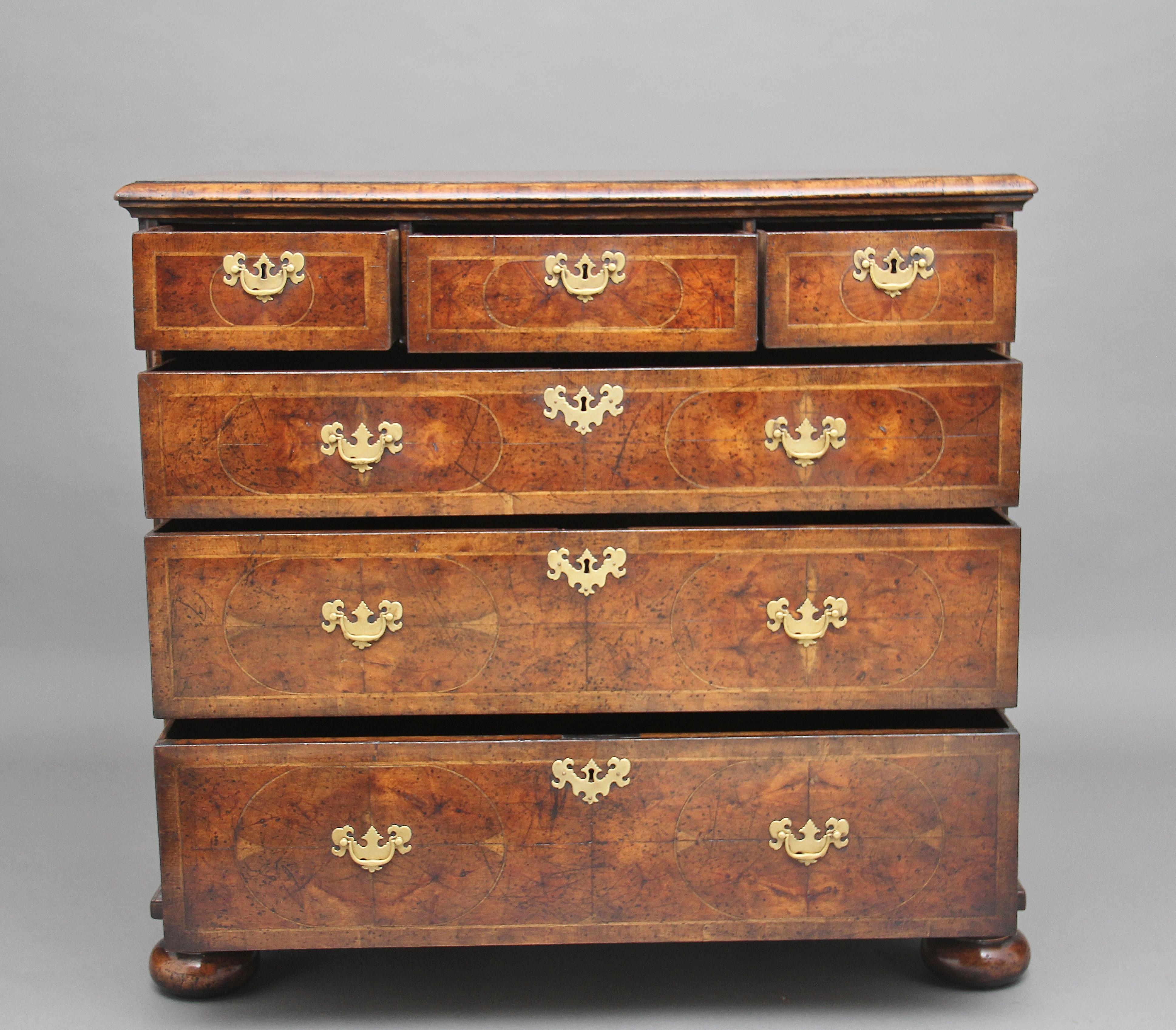 18th Century Oyster Wood Chest 3