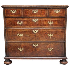 18th Century Oyster Wood Chest