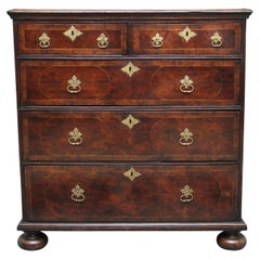 18th Century Oyster Wood Chest of Drawers