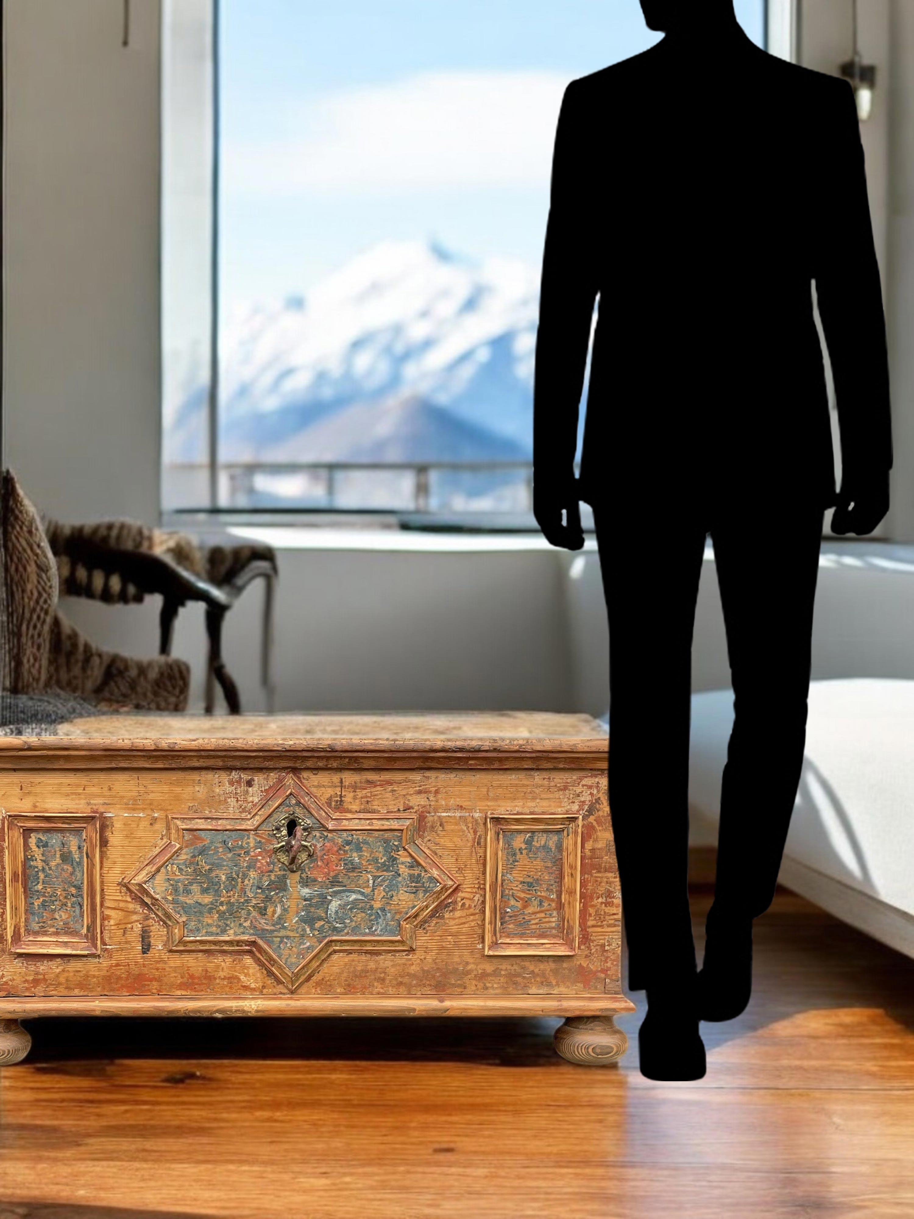 18th Century Painted Alpine Chest 11